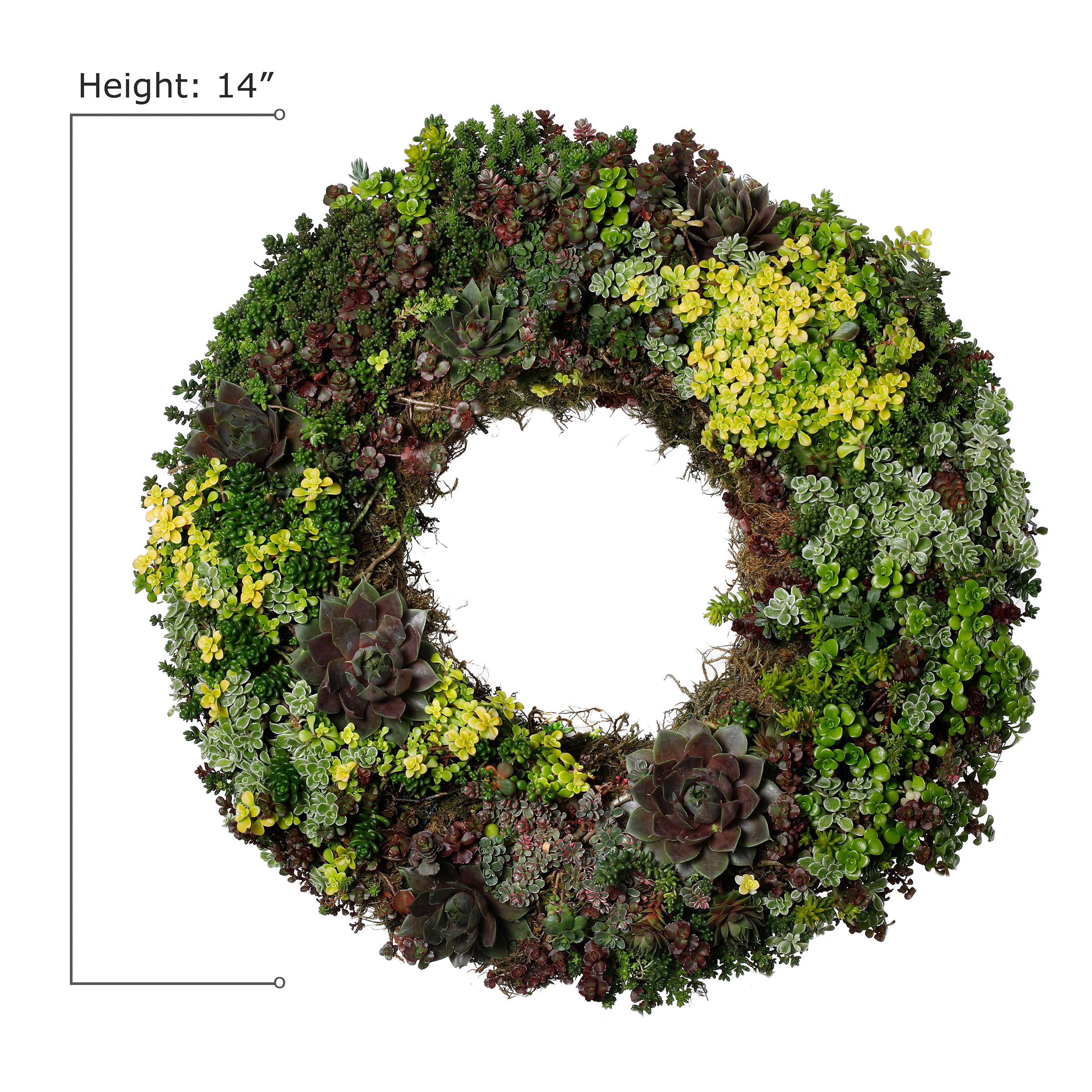 Enlarge Product Preview 2