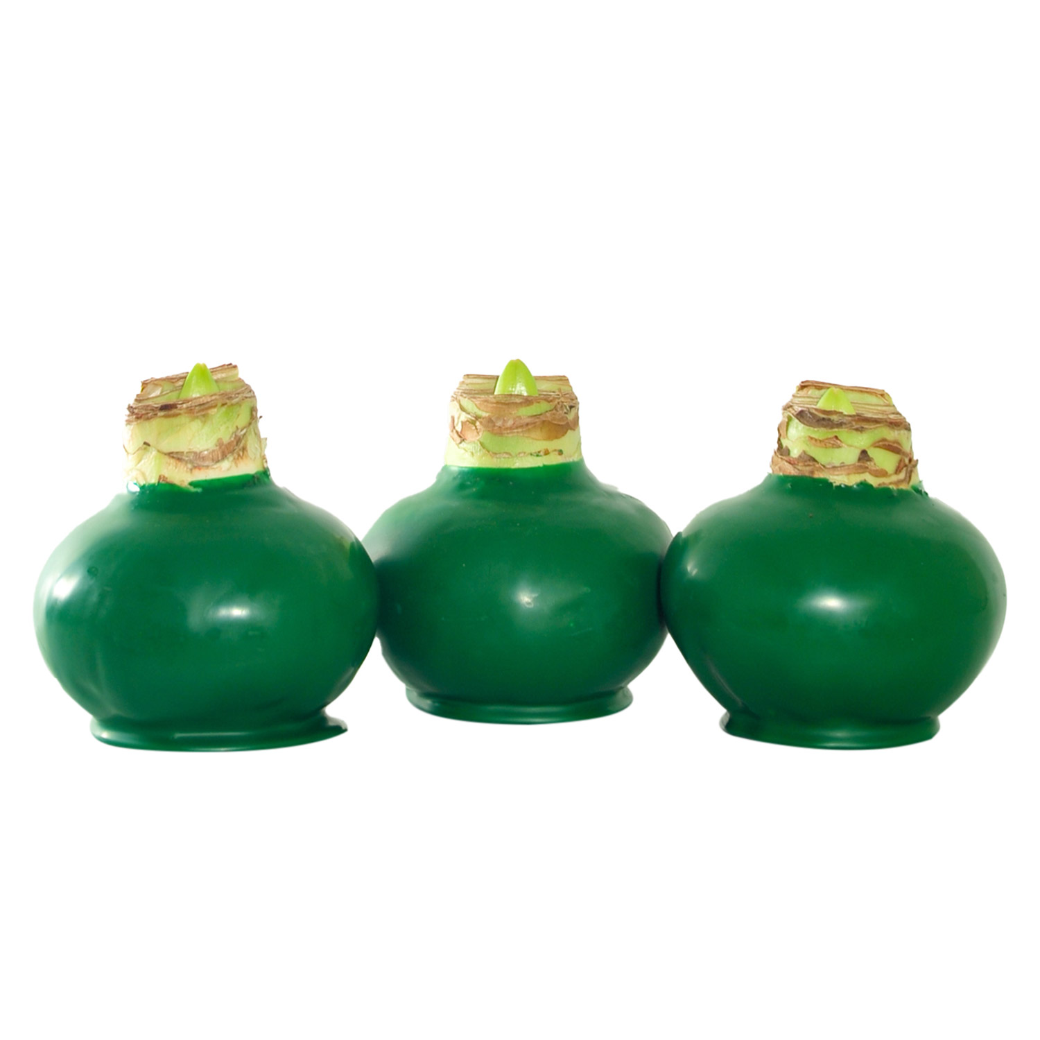 Enlarge Product Preview 6