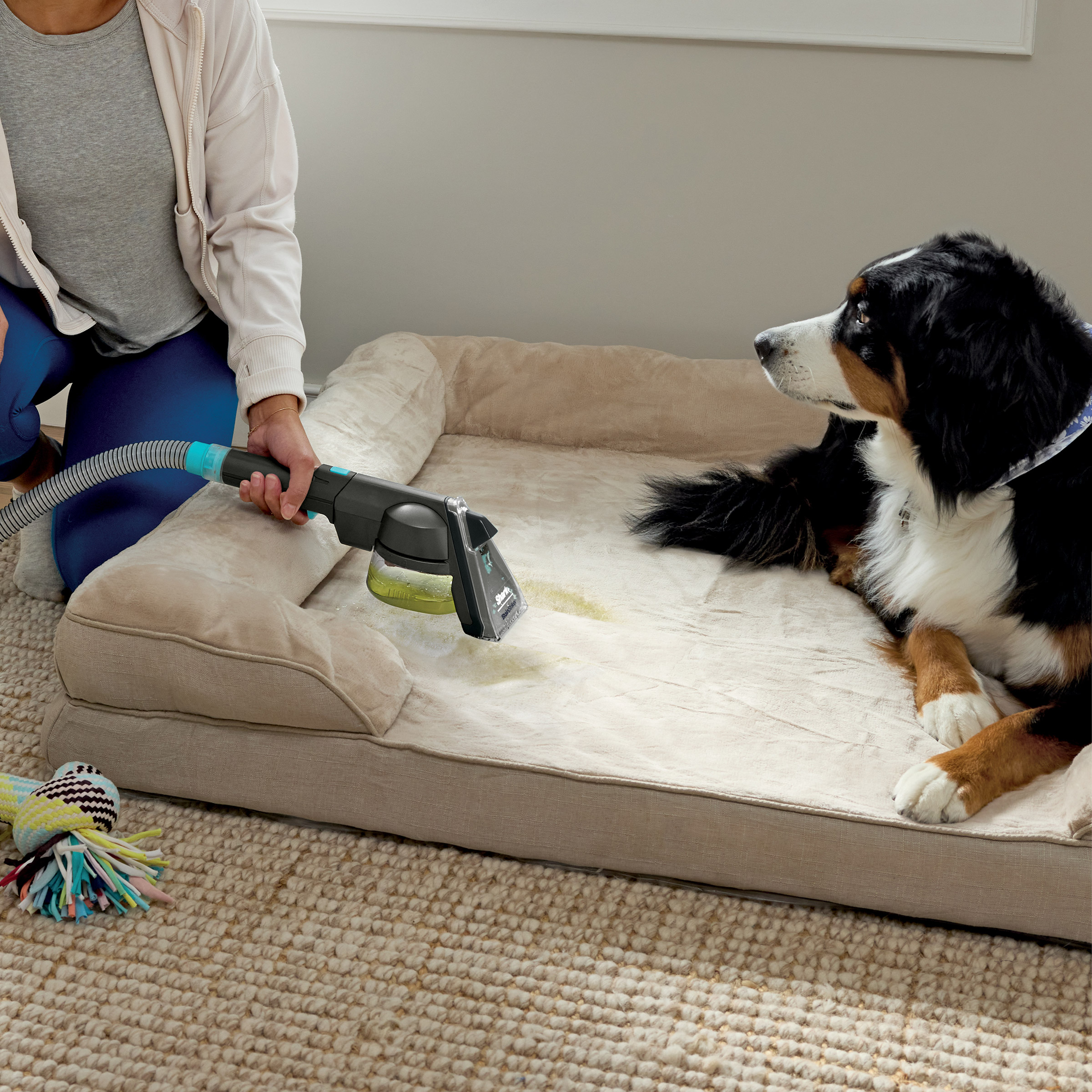 Enlarge Product Preview 4 Successfully Enriched by automation Job.