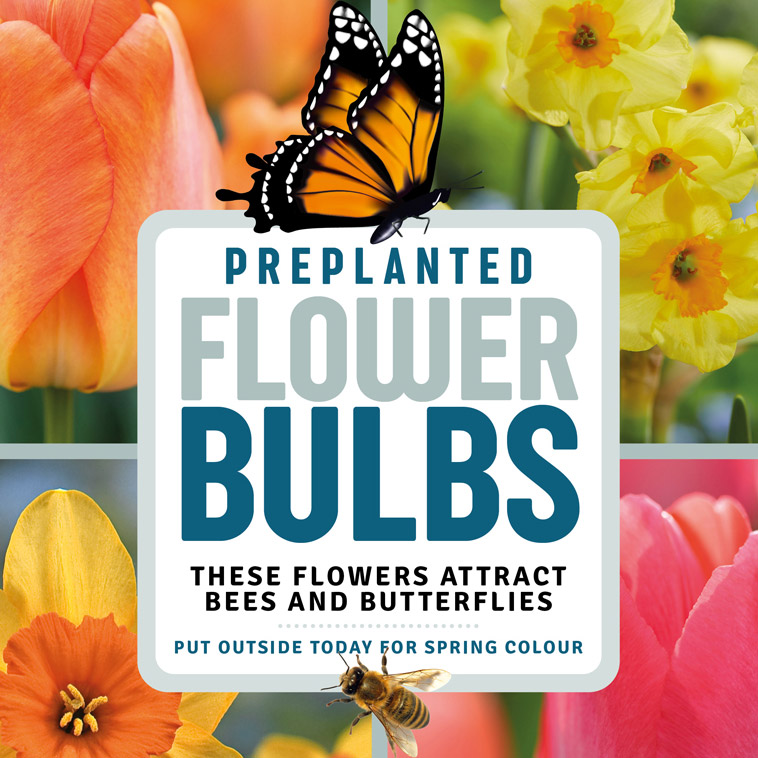 Enlarge Product Preview 2