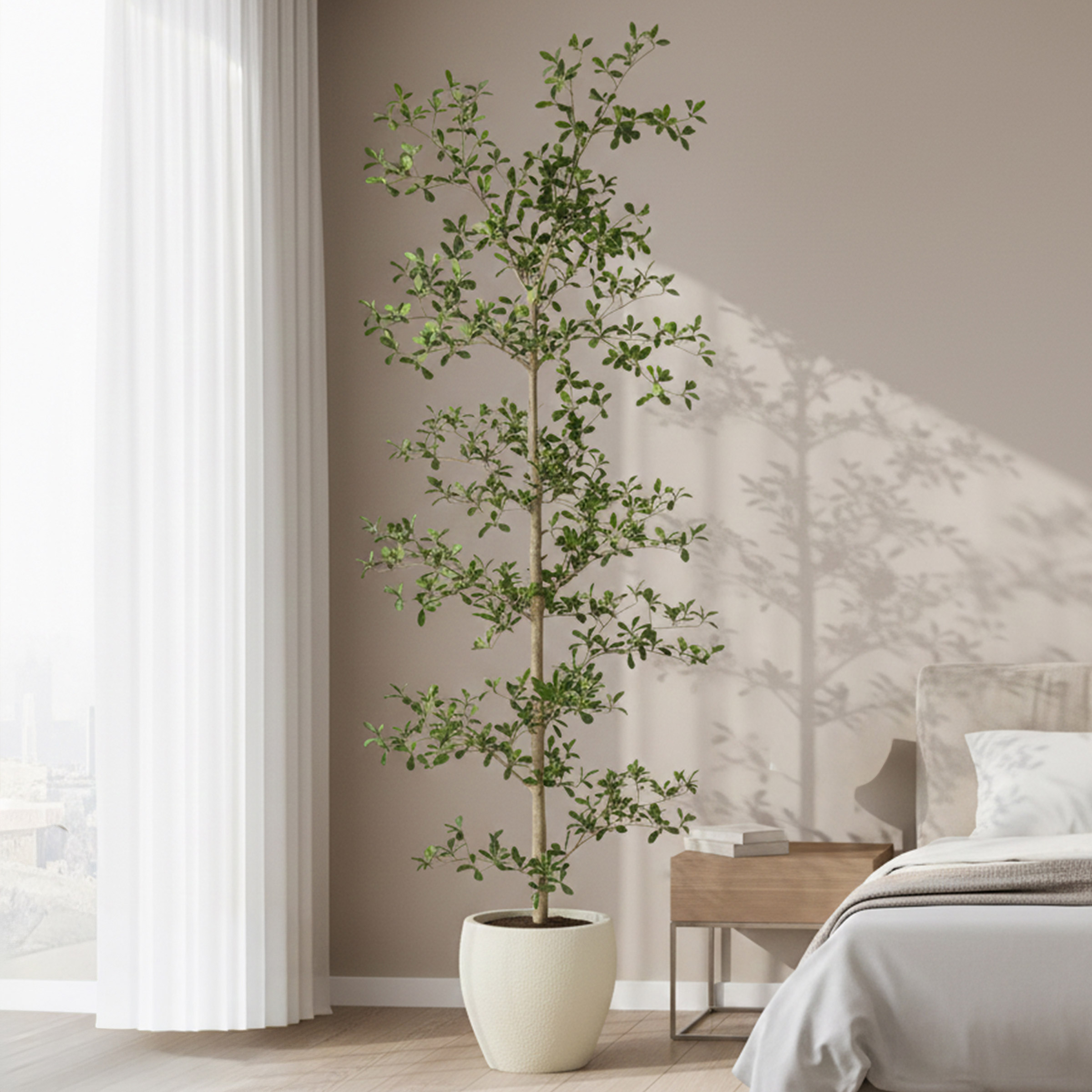 Faux 6.5' Black Olive Tree | Costco