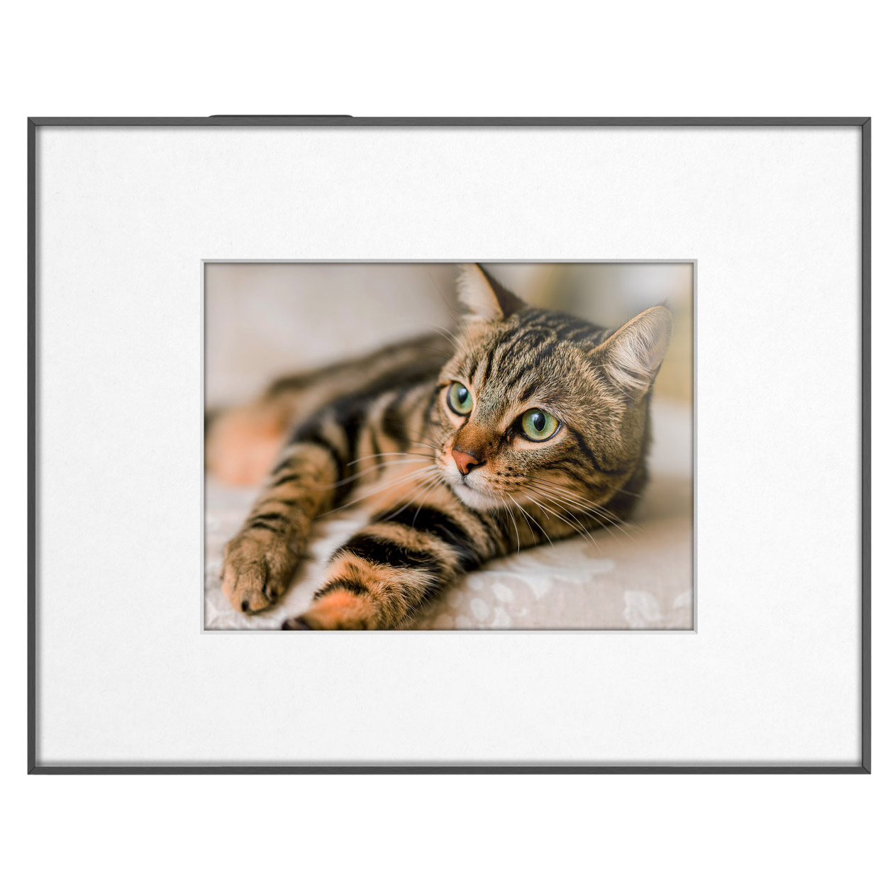 Enlarge Product Preview 3