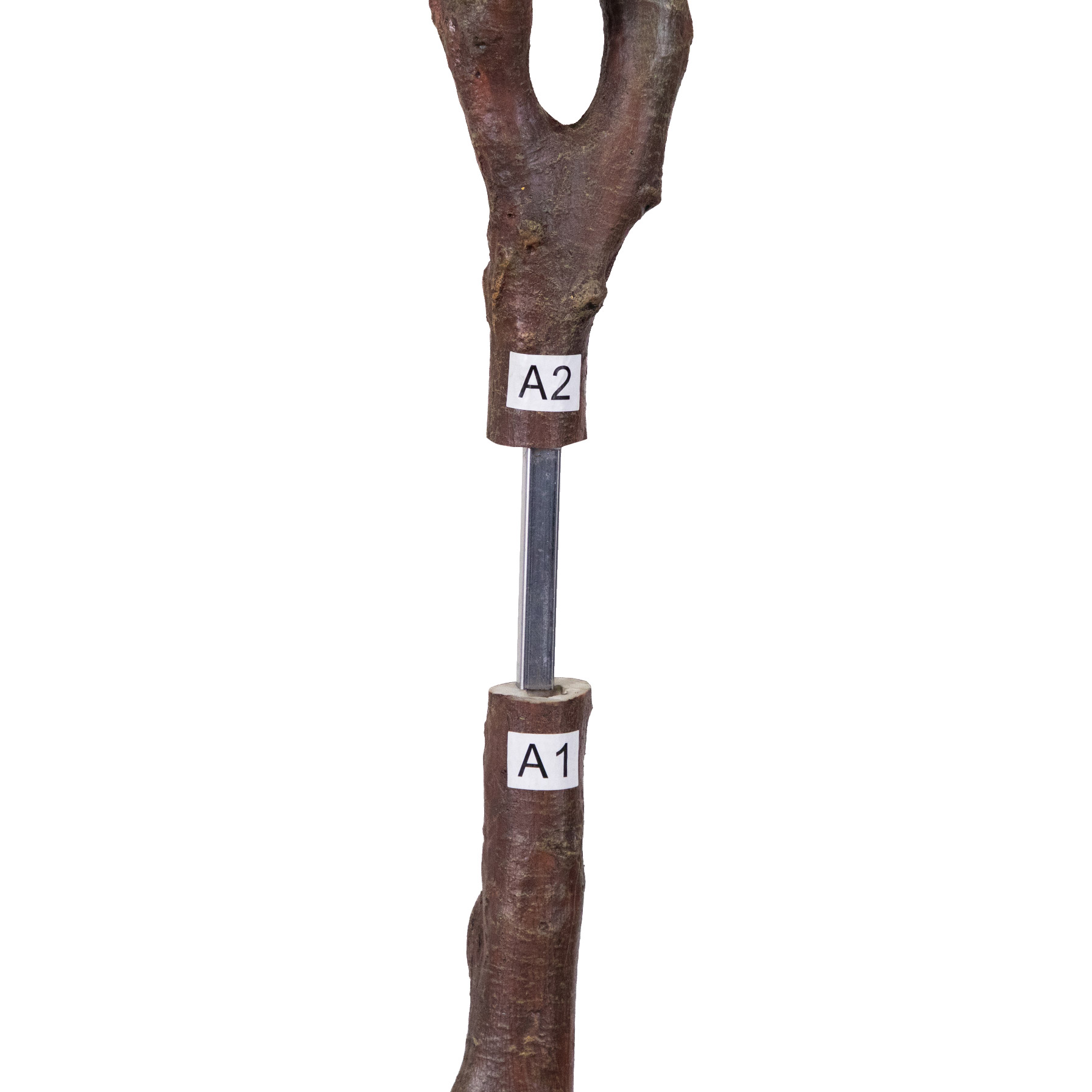 Enlarge Product Preview 7 Successfully Enriched by automation Job.