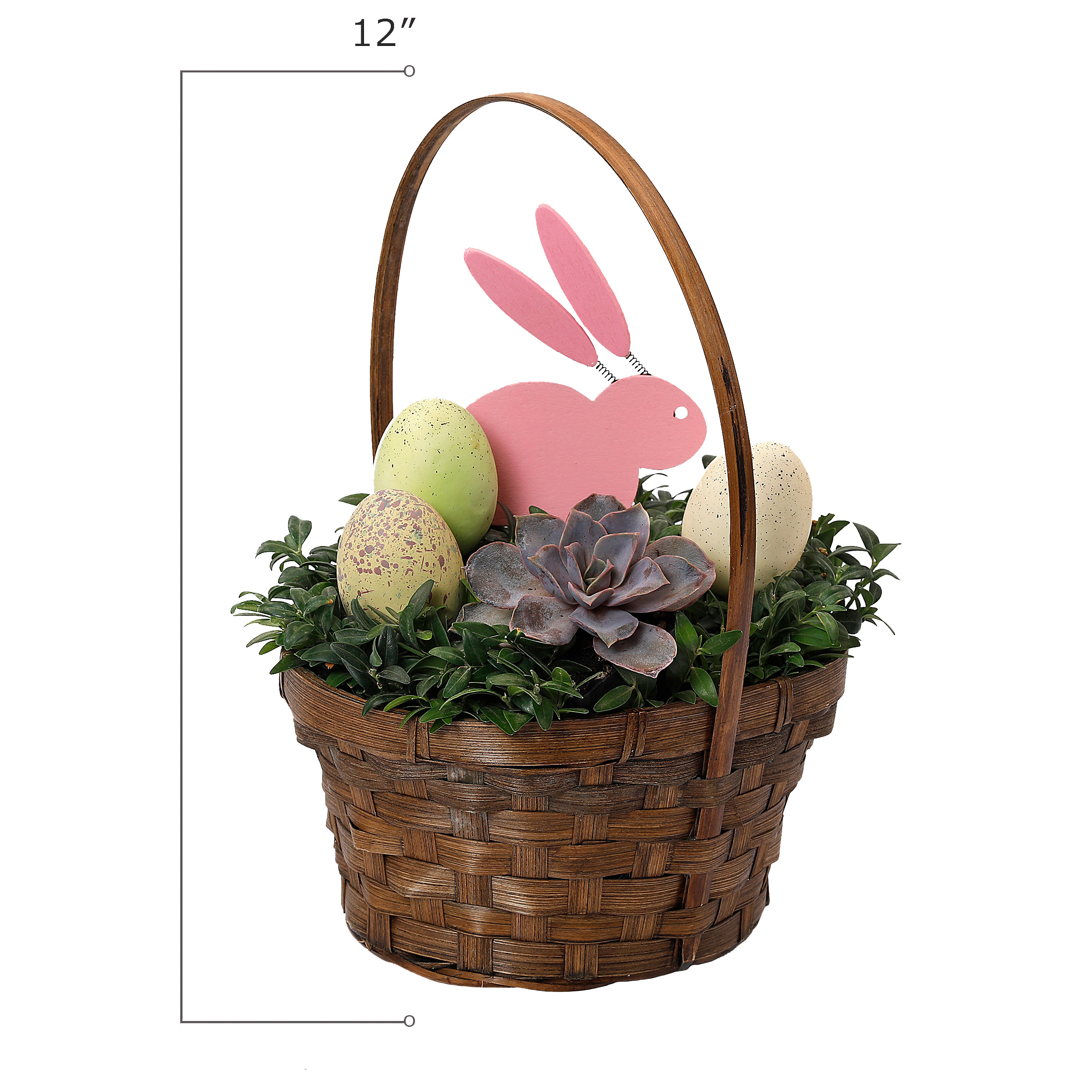 Enlarge Product Preview 2