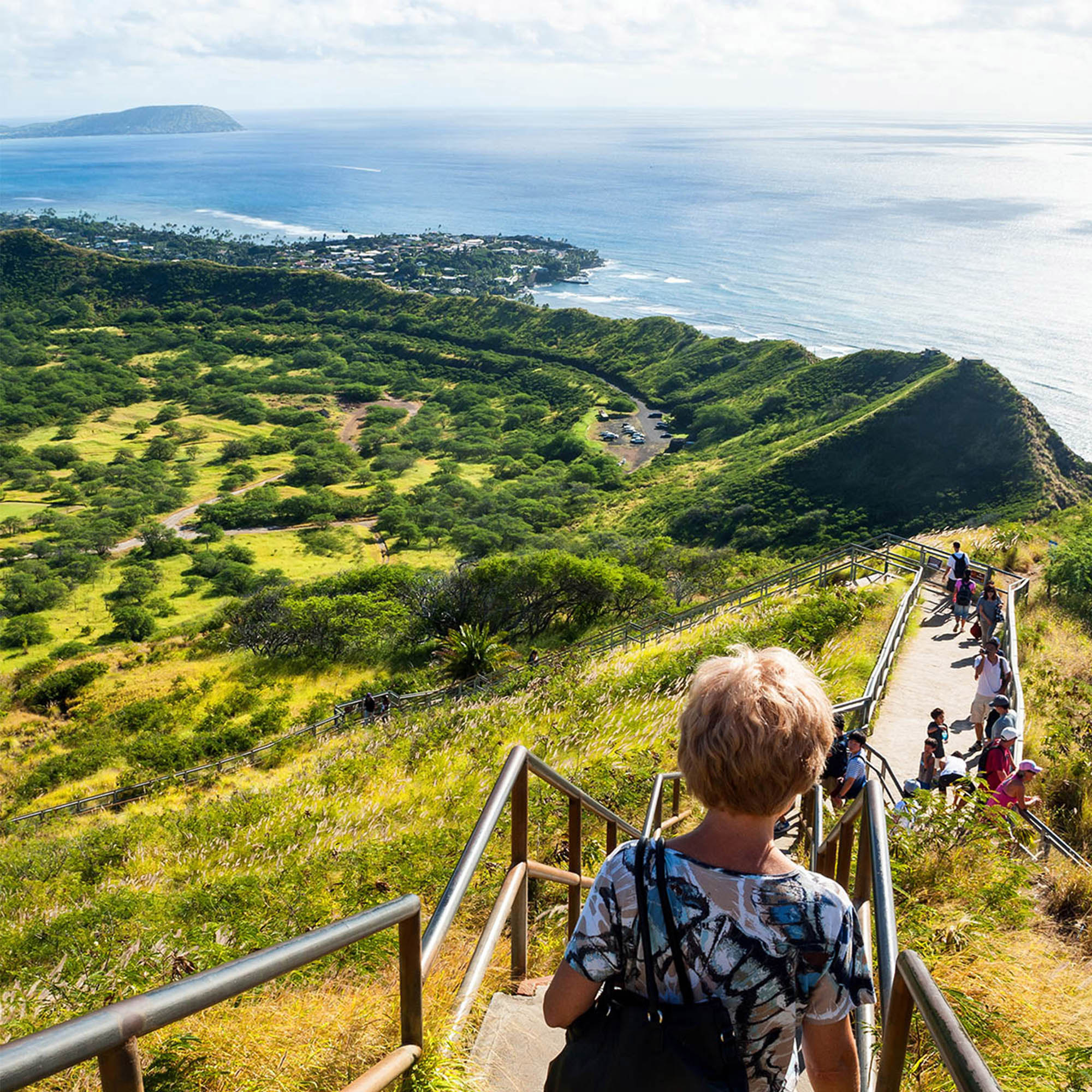 Enlarge Product Preview 4 Successfully Enriched by automation Job.