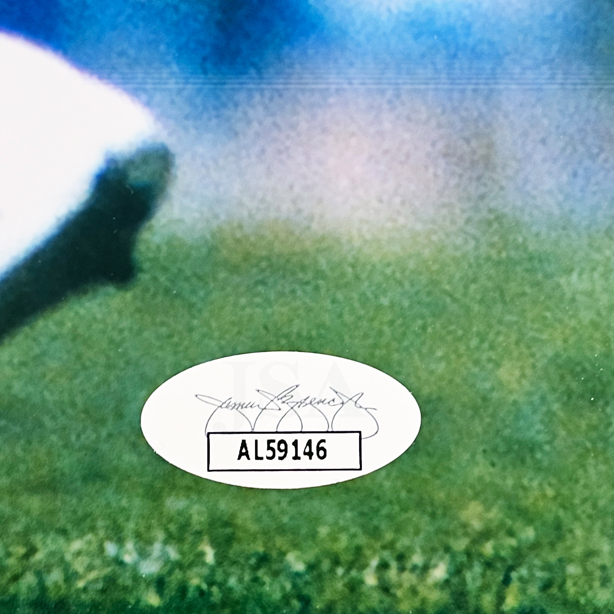 Enlarge Product Preview 4 Successfully Enriched by automation Job.