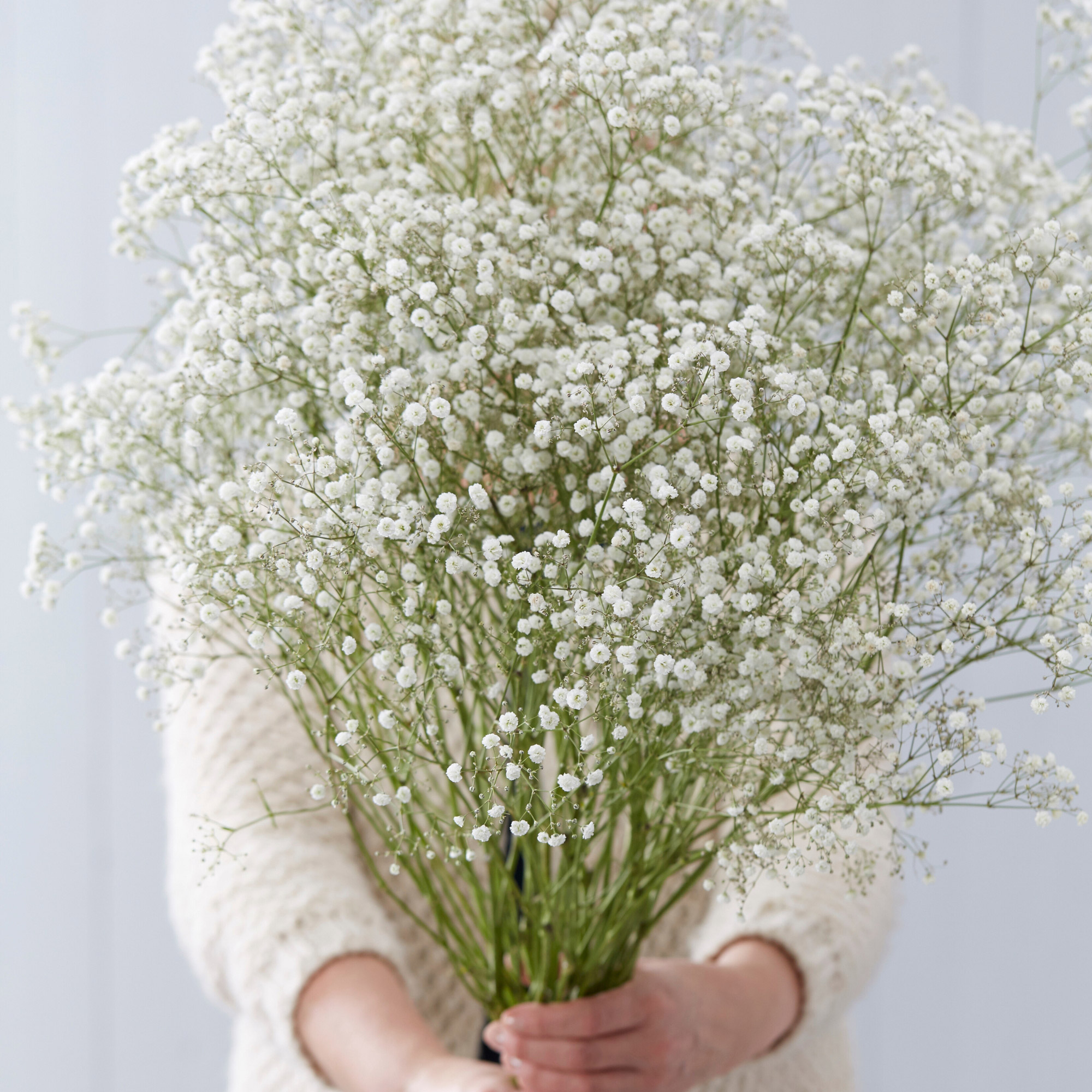 Enlarge Product Preview 20