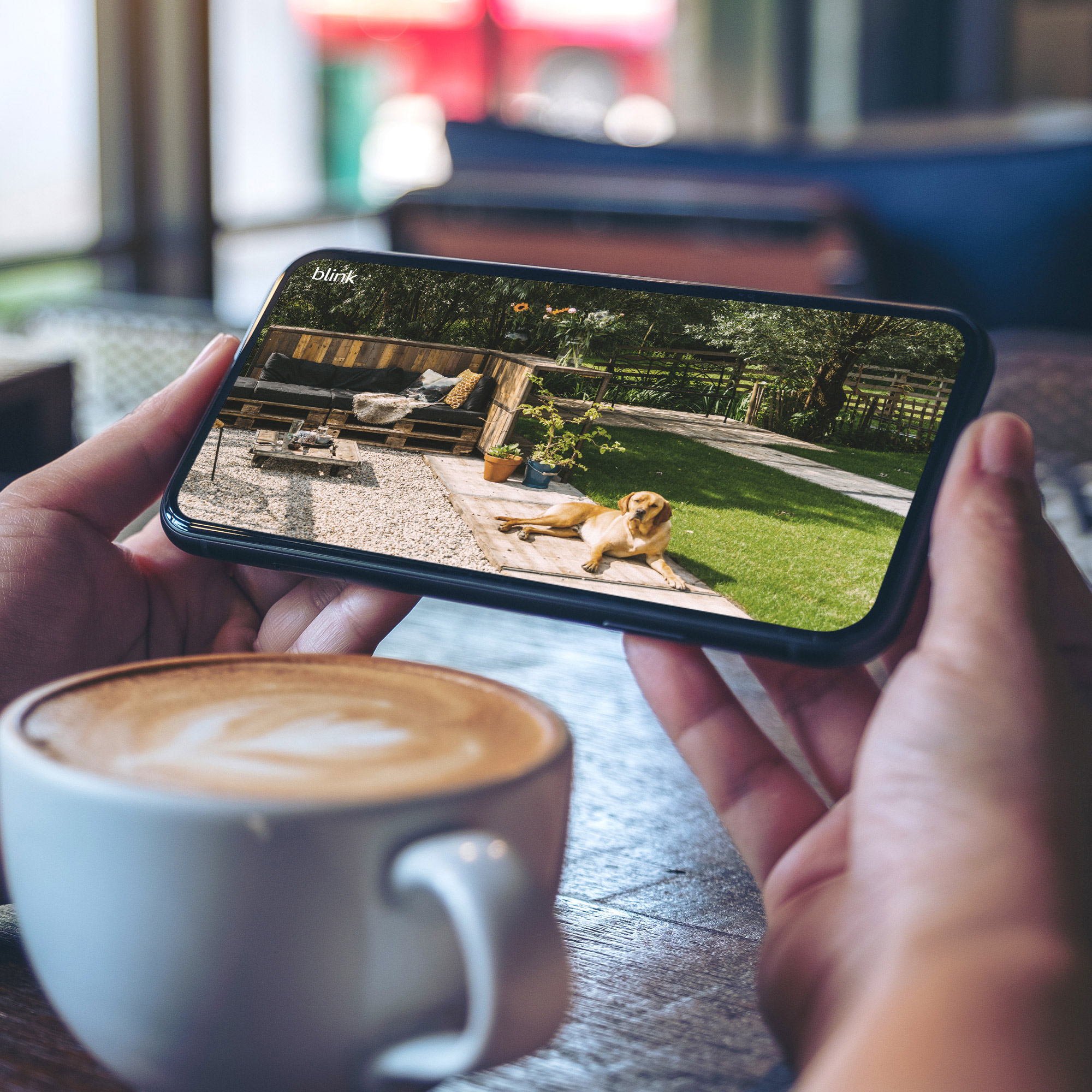 Enlarge Product Preview 4 Successfully Enriched by automation Job.