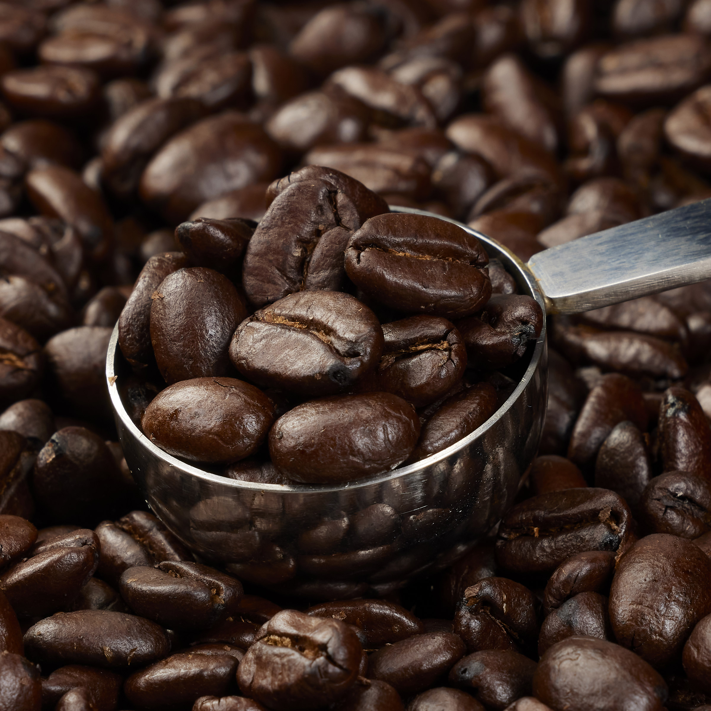 Enlarge Product Preview 6