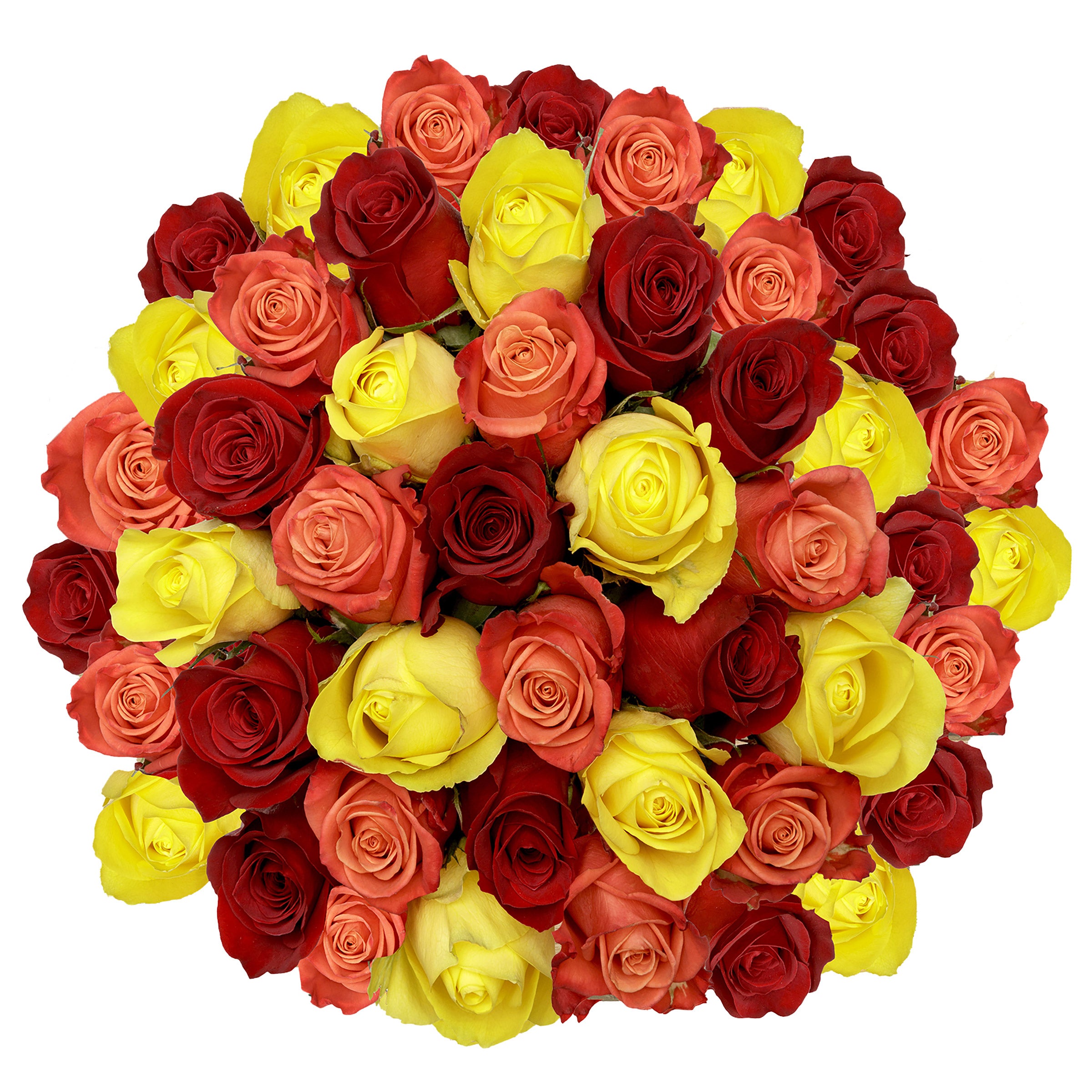 Roses, 48 Stems - Sunset Trio | Costco