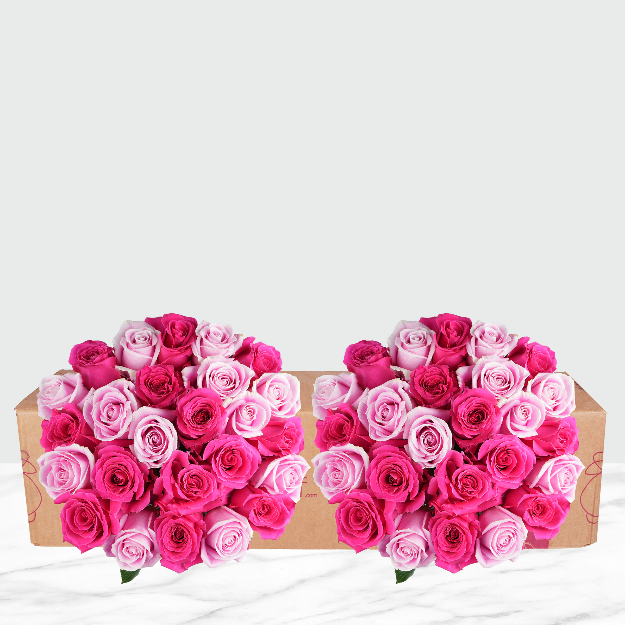 Enlarge Product Preview 3 Successfully Enriched by automation Job.