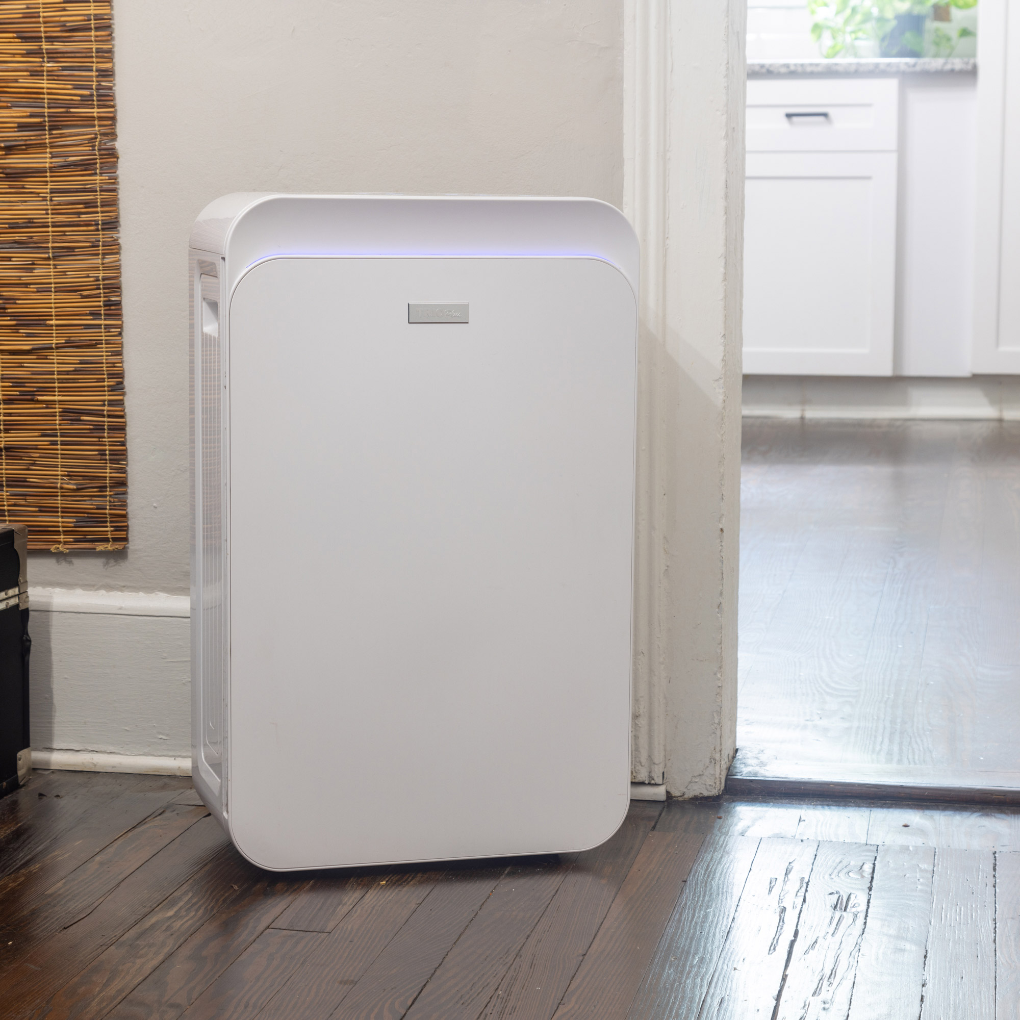 Enlarge Product Preview 3 Successfully Enriched by automation Job.