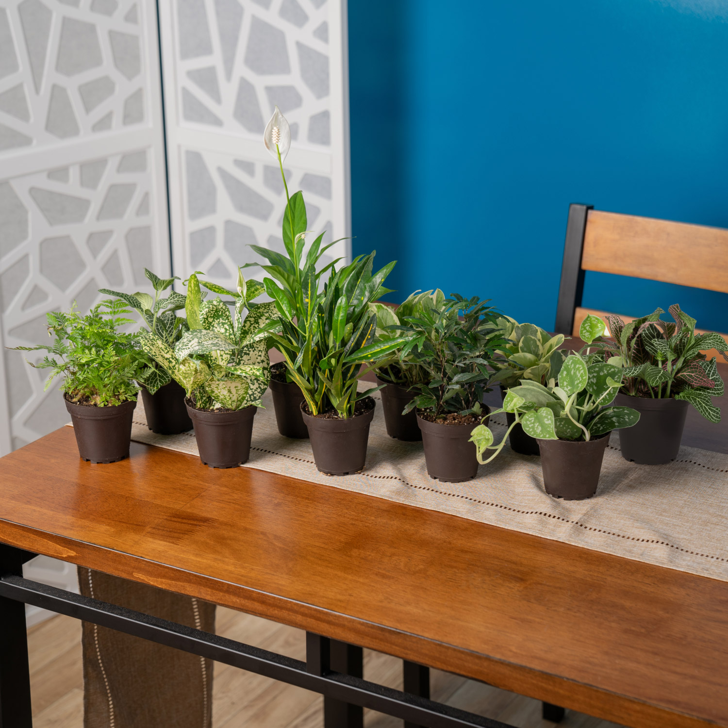 Enlarge Product Preview 2 Successfully Enriched by automation Job.