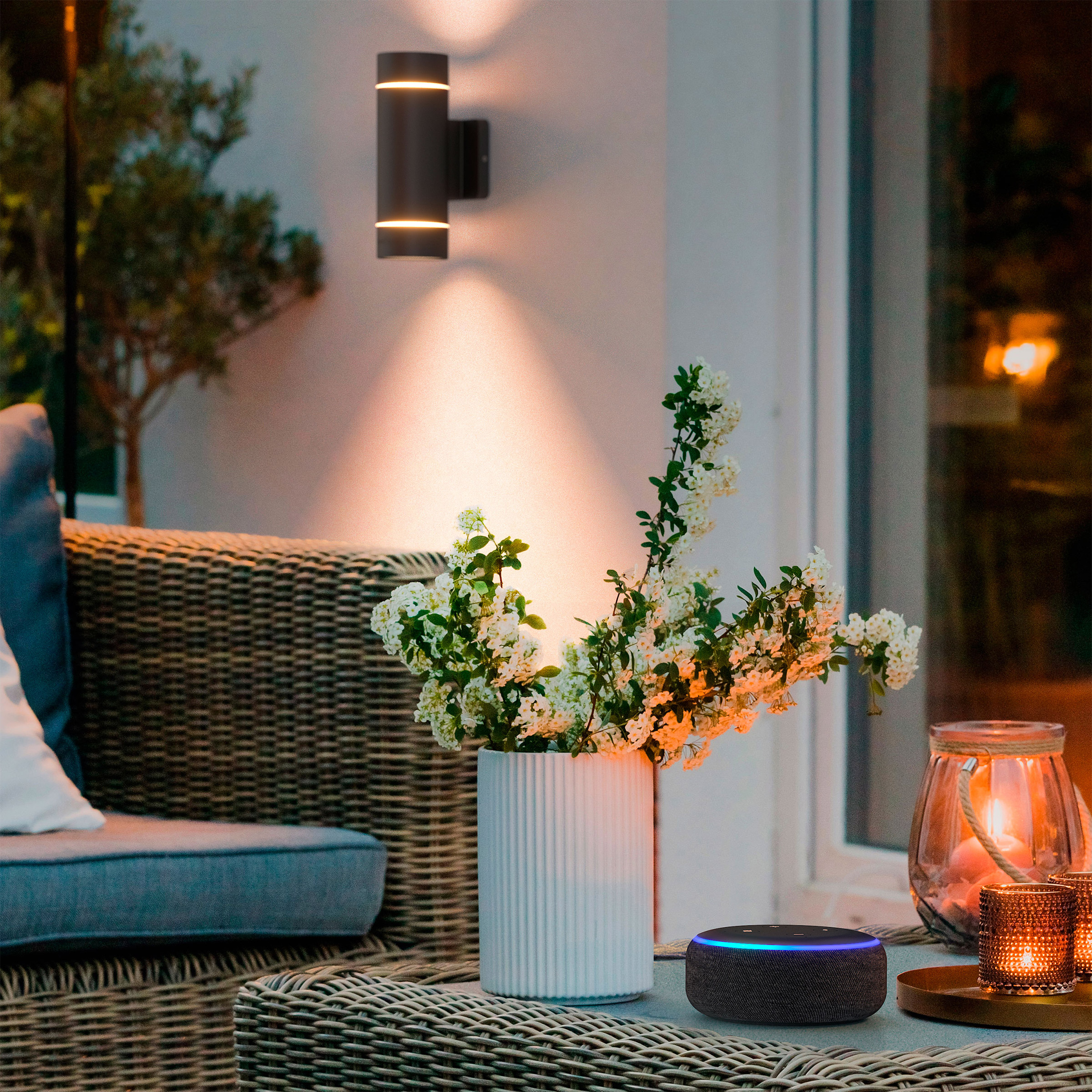 Enlarge Product Preview 2 Successfully Enriched by automation Job.