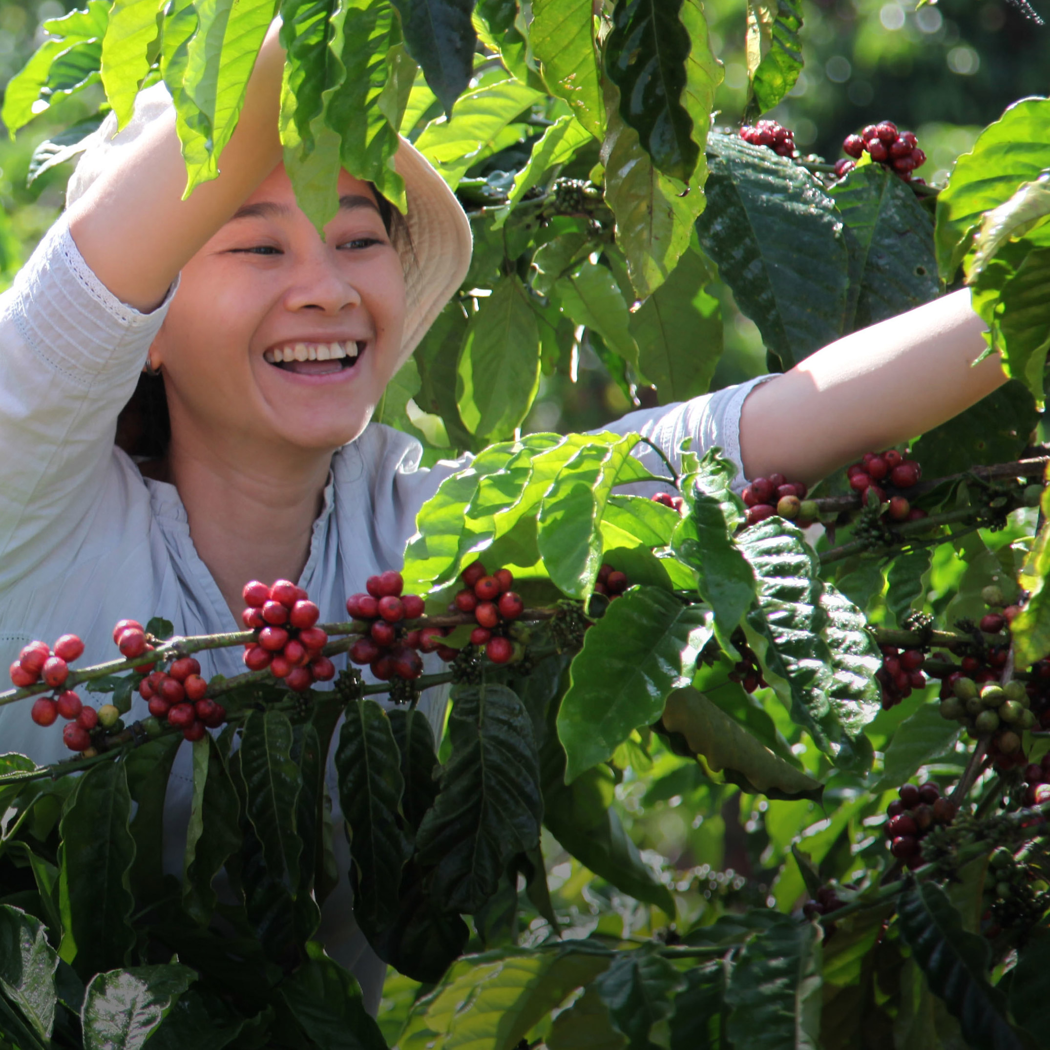 Enlarge Product Preview 6 Successfully Enriched by automation Job.