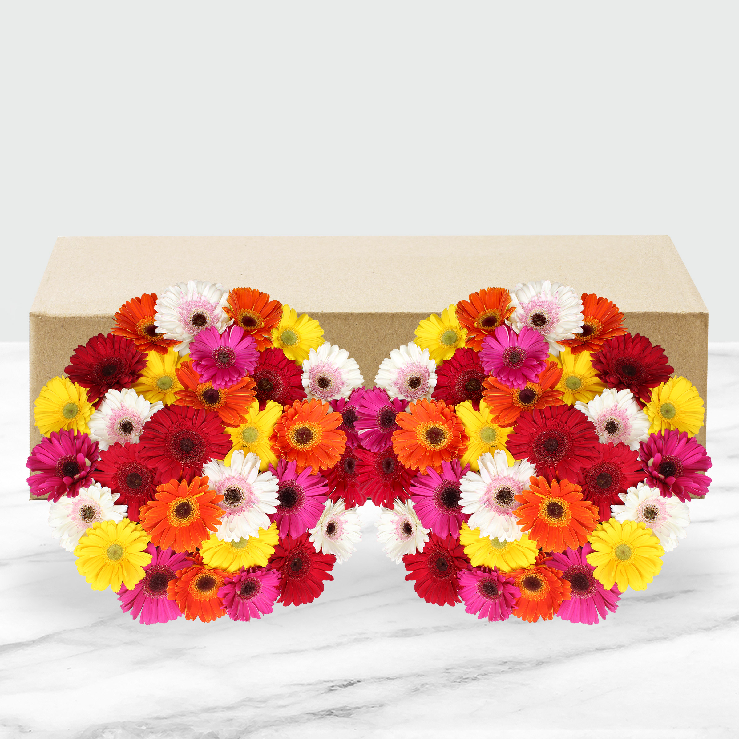 Enlarge Product Preview 2