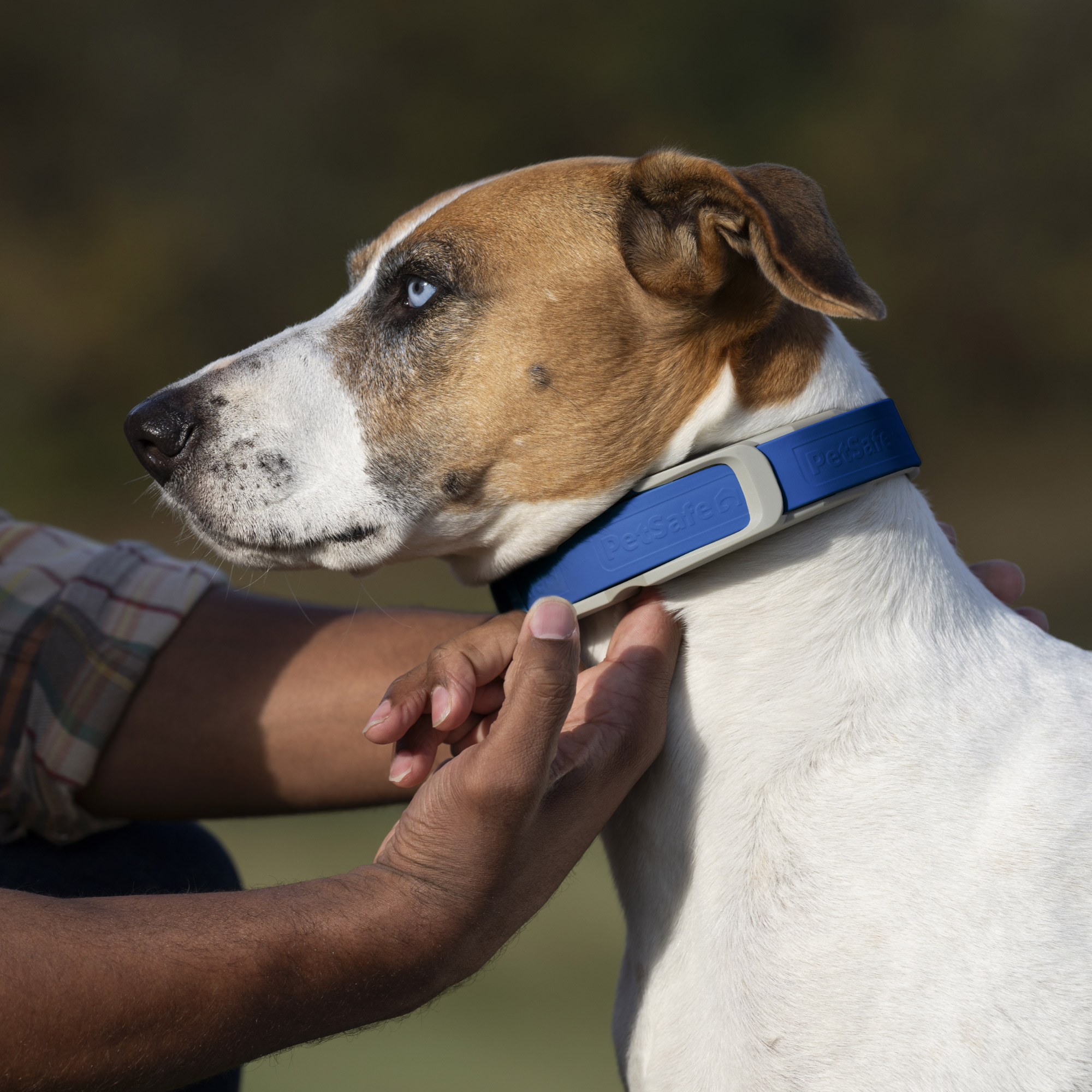 Gps Tracker Costco Bark Collar Gps Collar Fence Dog Invisible
