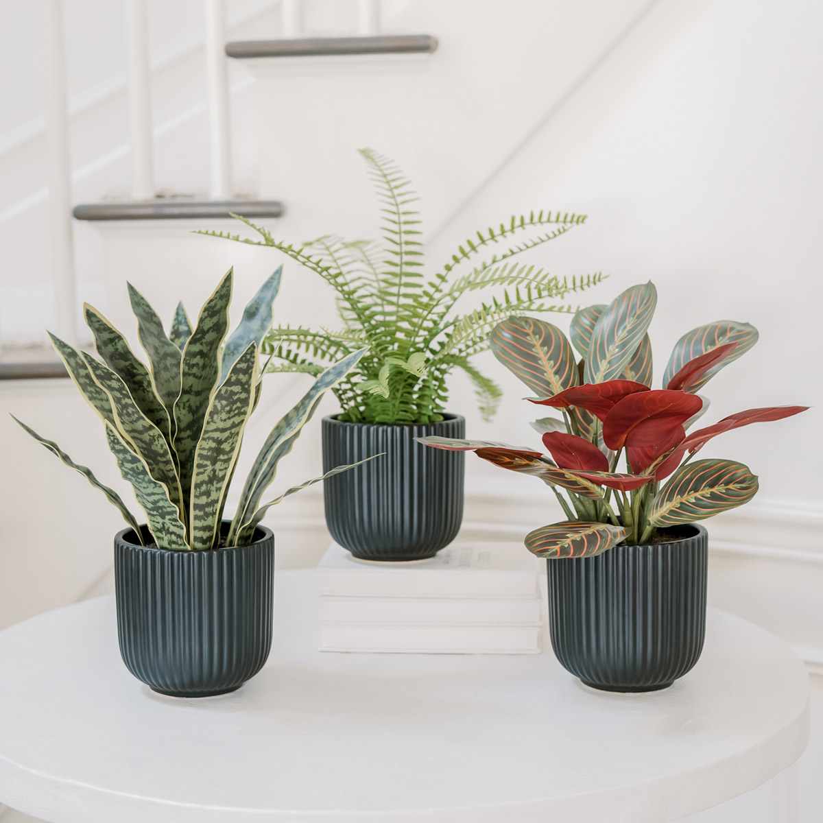 DAIKO DECO-S50 ３つセット Faux Decorative Plant Trio | Costco