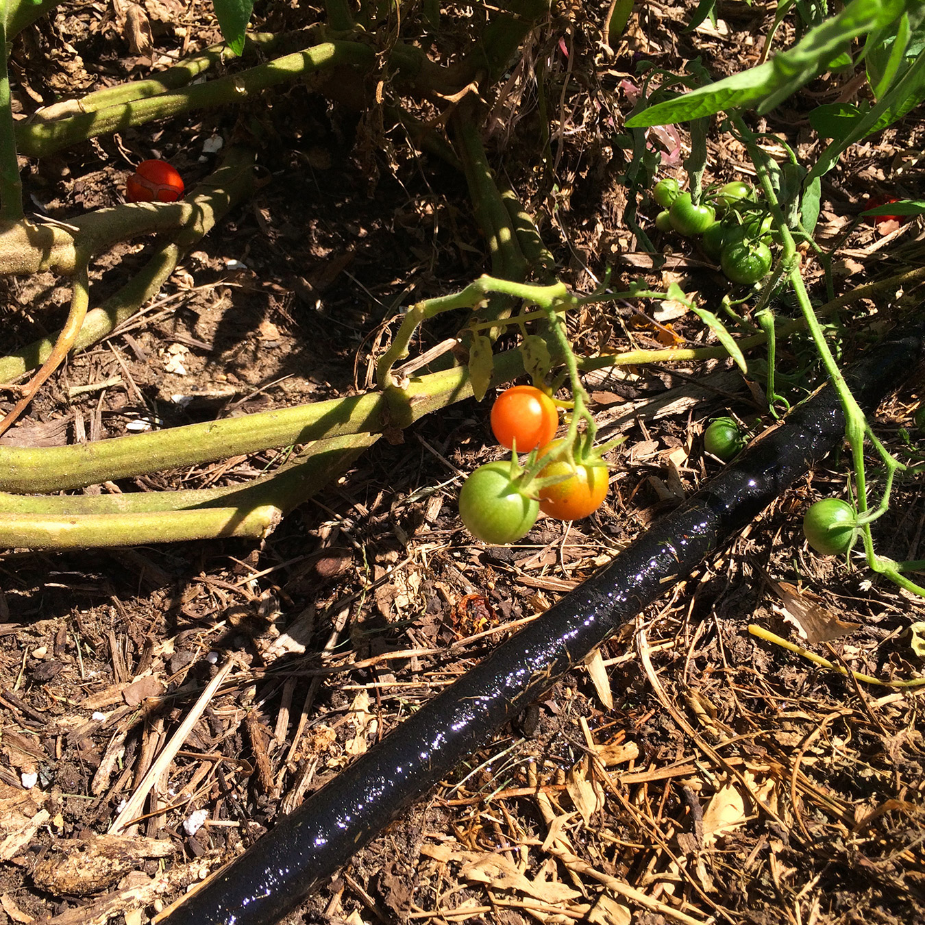 Enlarge Product Preview 3