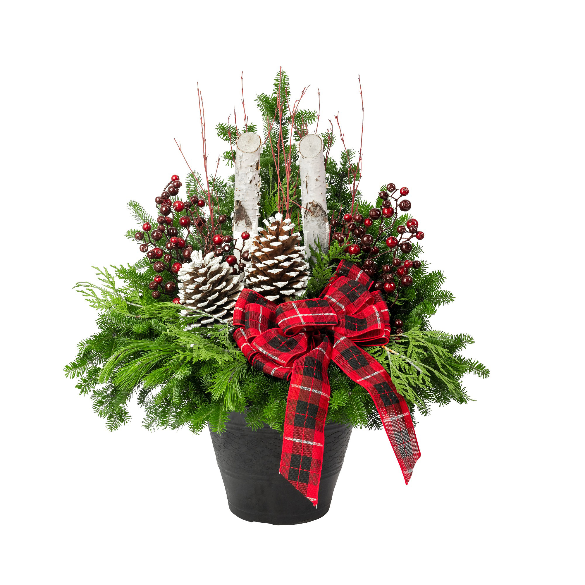 Premium Winter Garden Arrangement, Traditional Theme, 30.5 cm (12 in.)