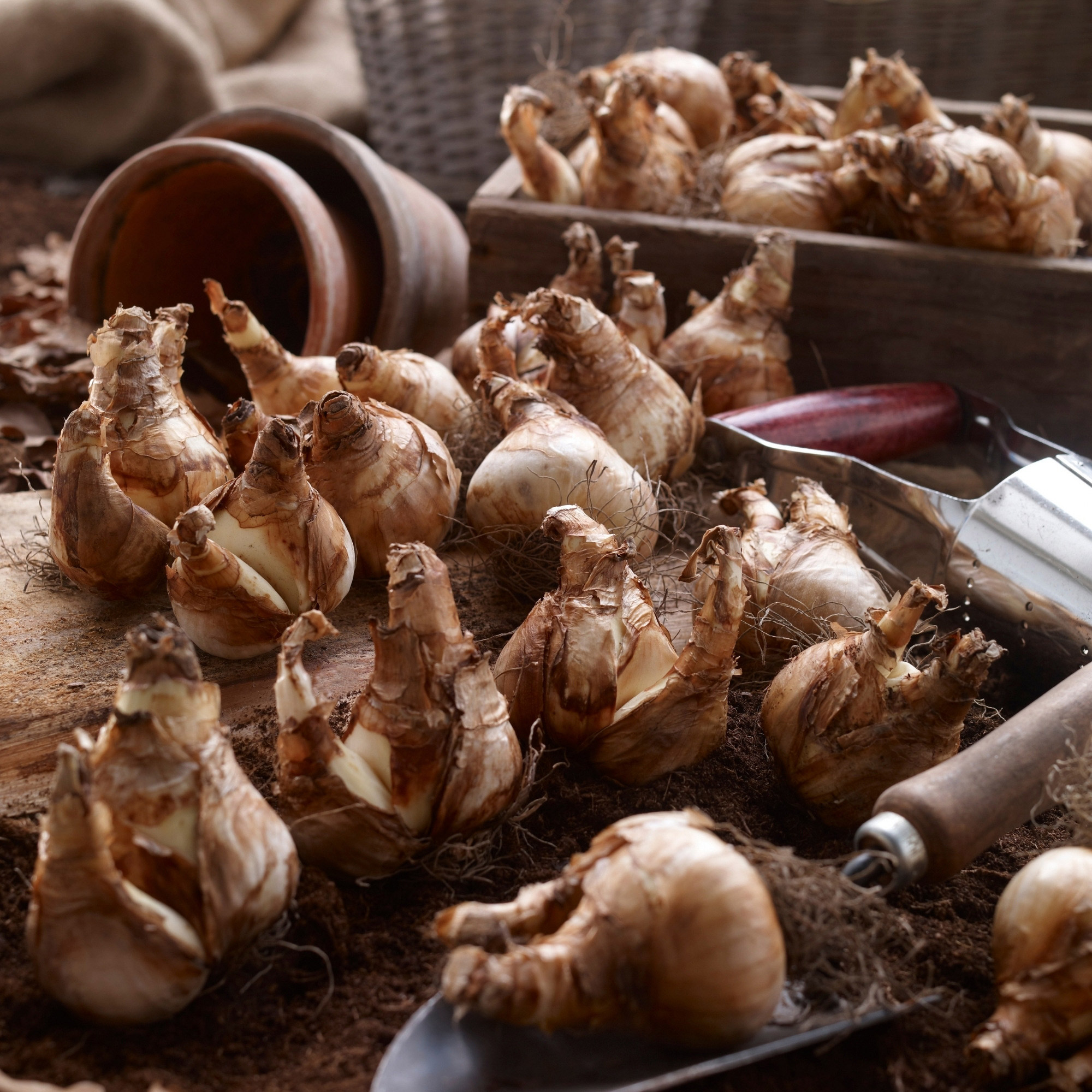 Enlarge Product Preview 11 Successfully Enriched by automation Job.