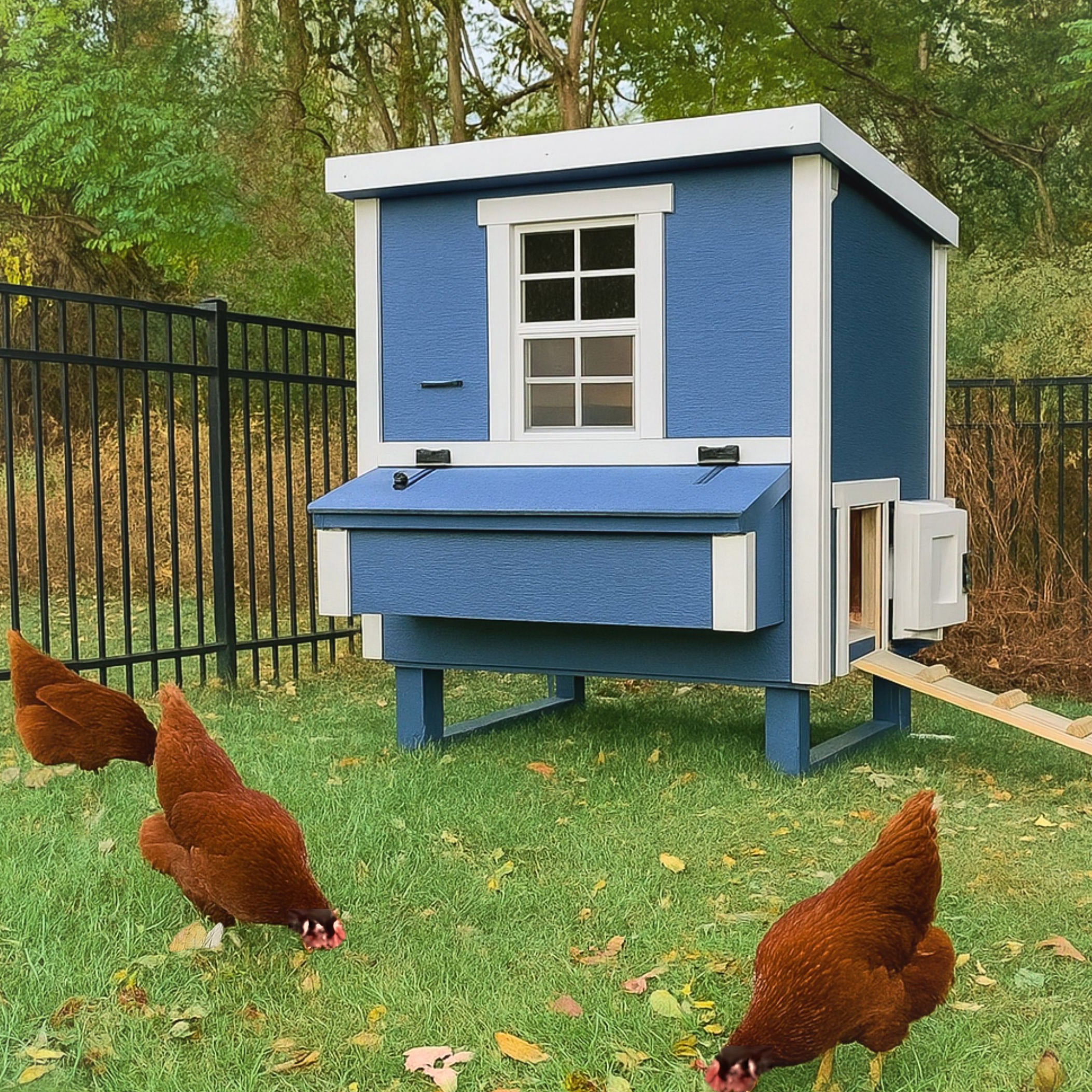 OverEZ Medium Chicken Coop with Feeder and Waterer | Costco
