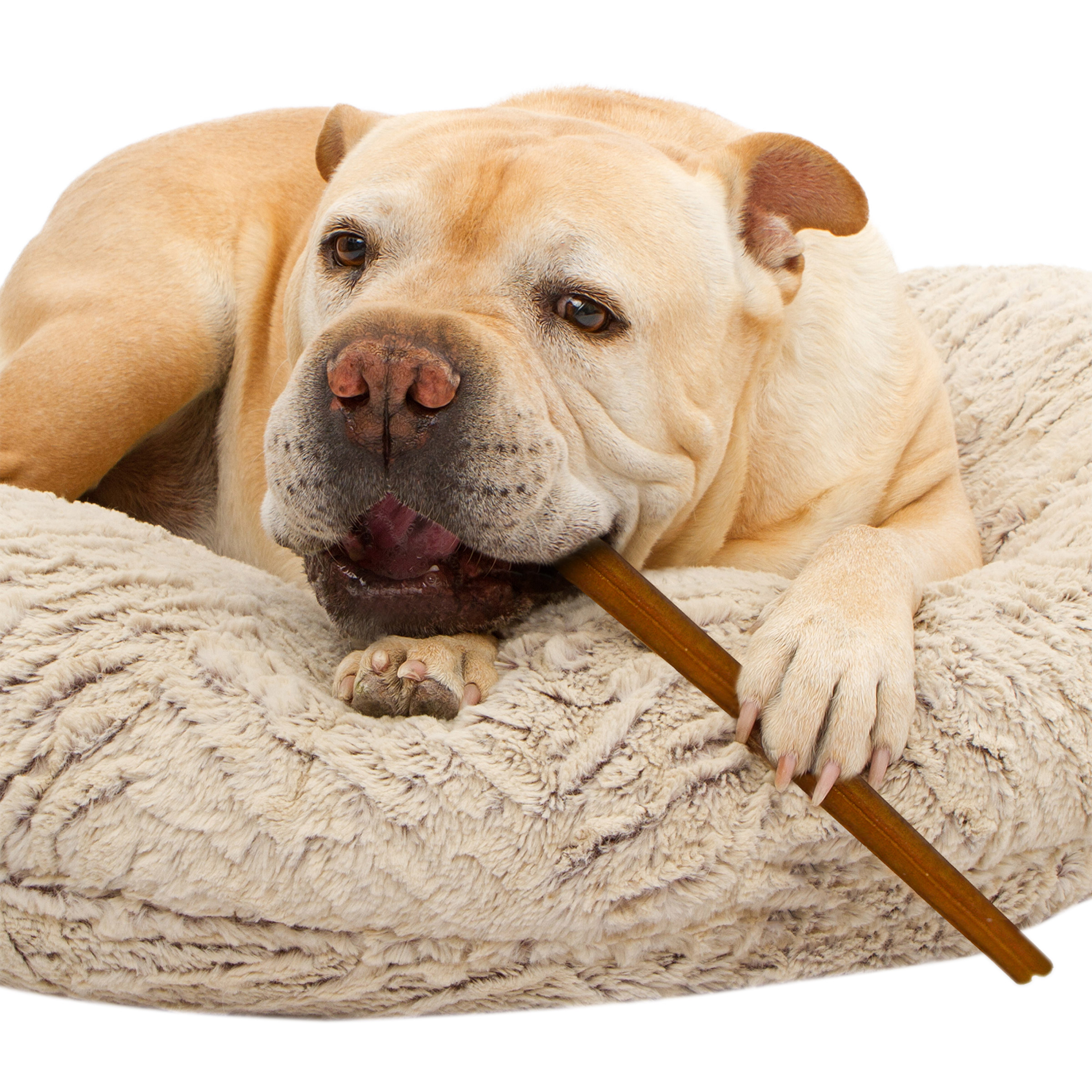 Enlarge Product Preview 2