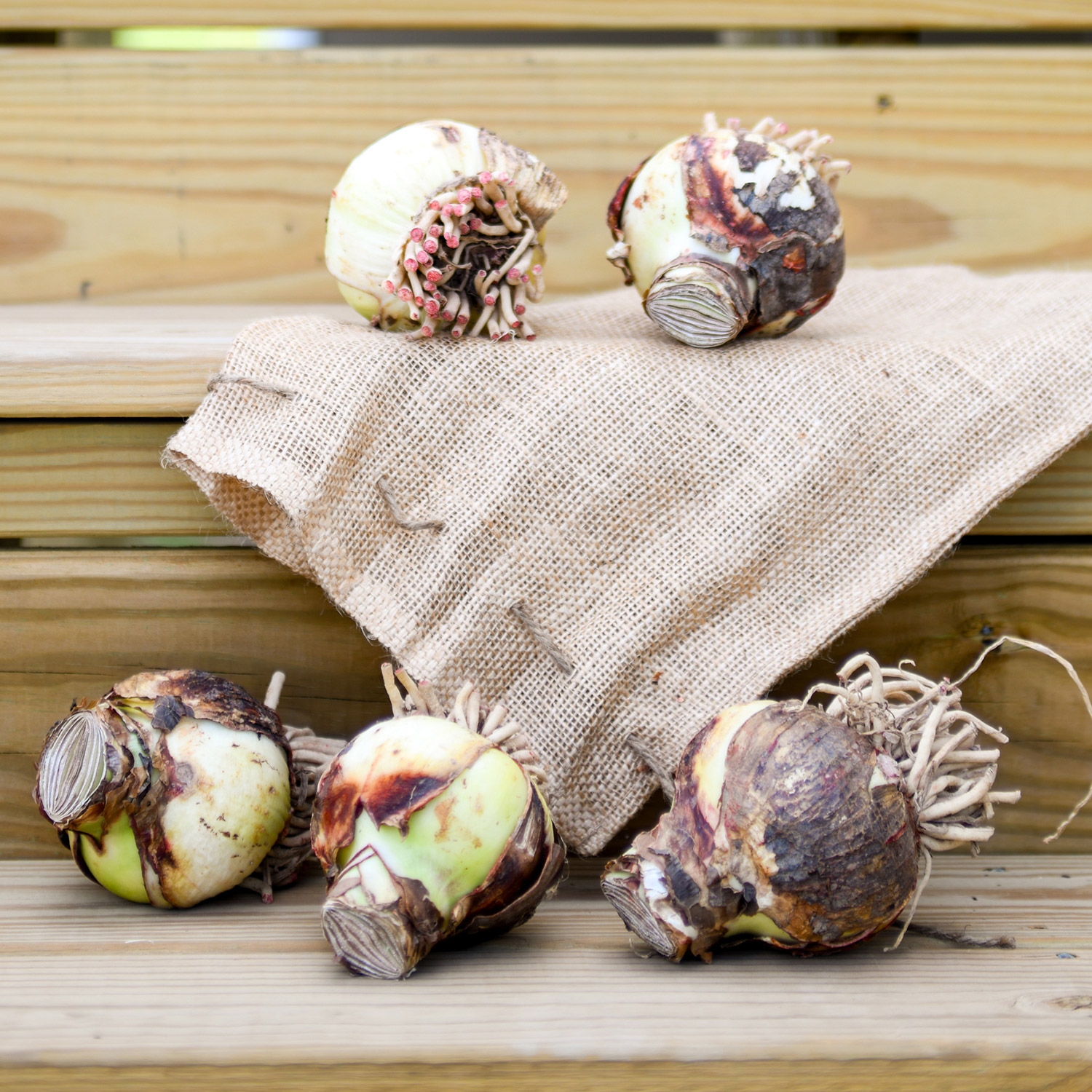 Enlarge Product Preview 4 Successfully Enriched by automation Job.