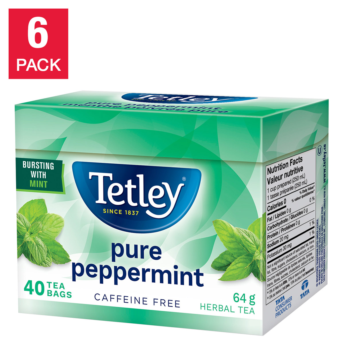 Tetley Peppermint Tea, 6 × 40, 240-count 