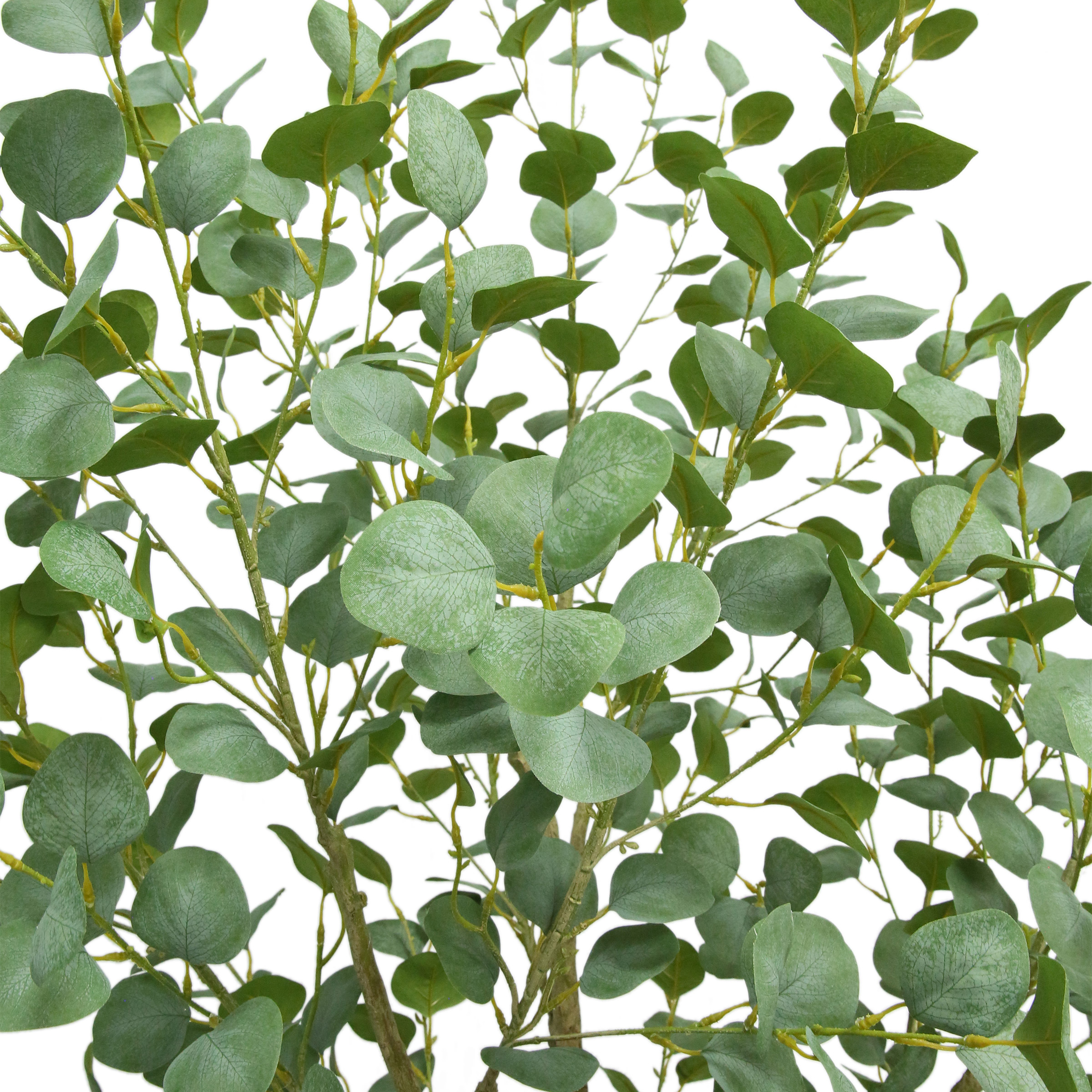 Enlarge Product Preview 4