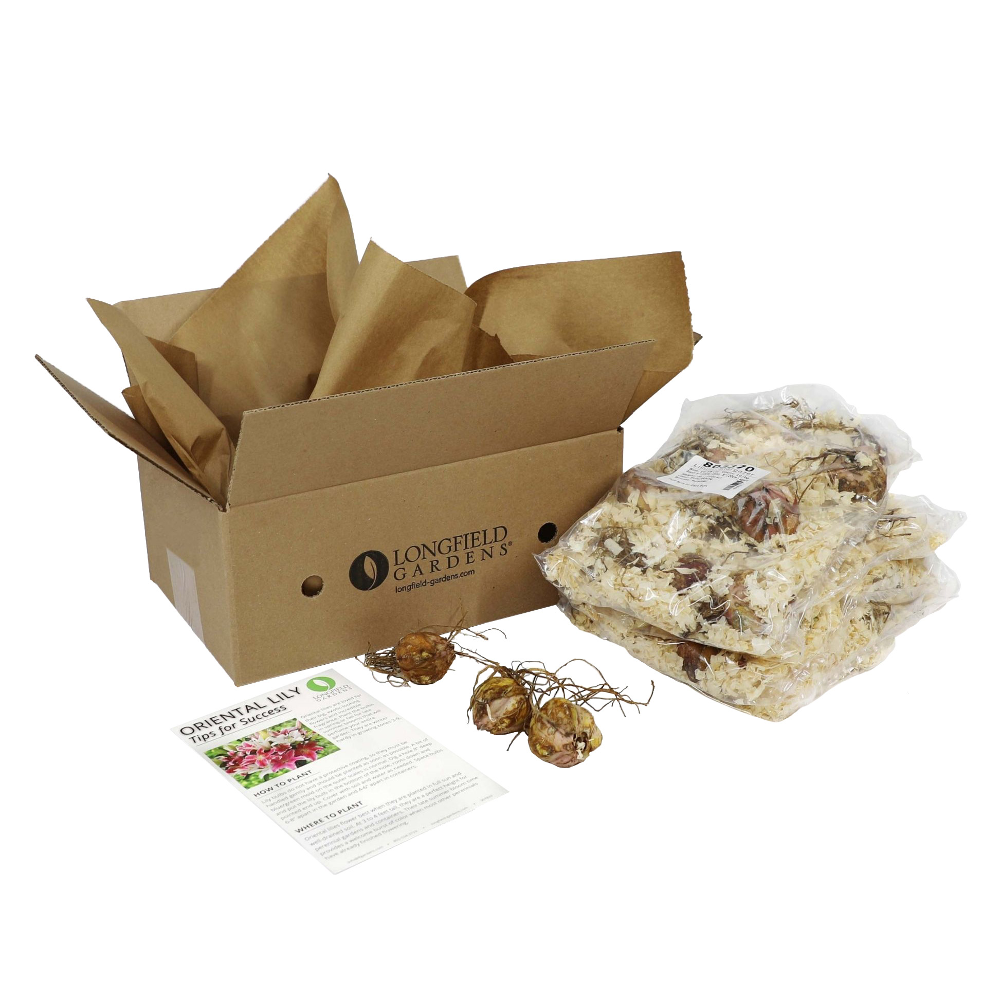 Enlarge Product Preview 7