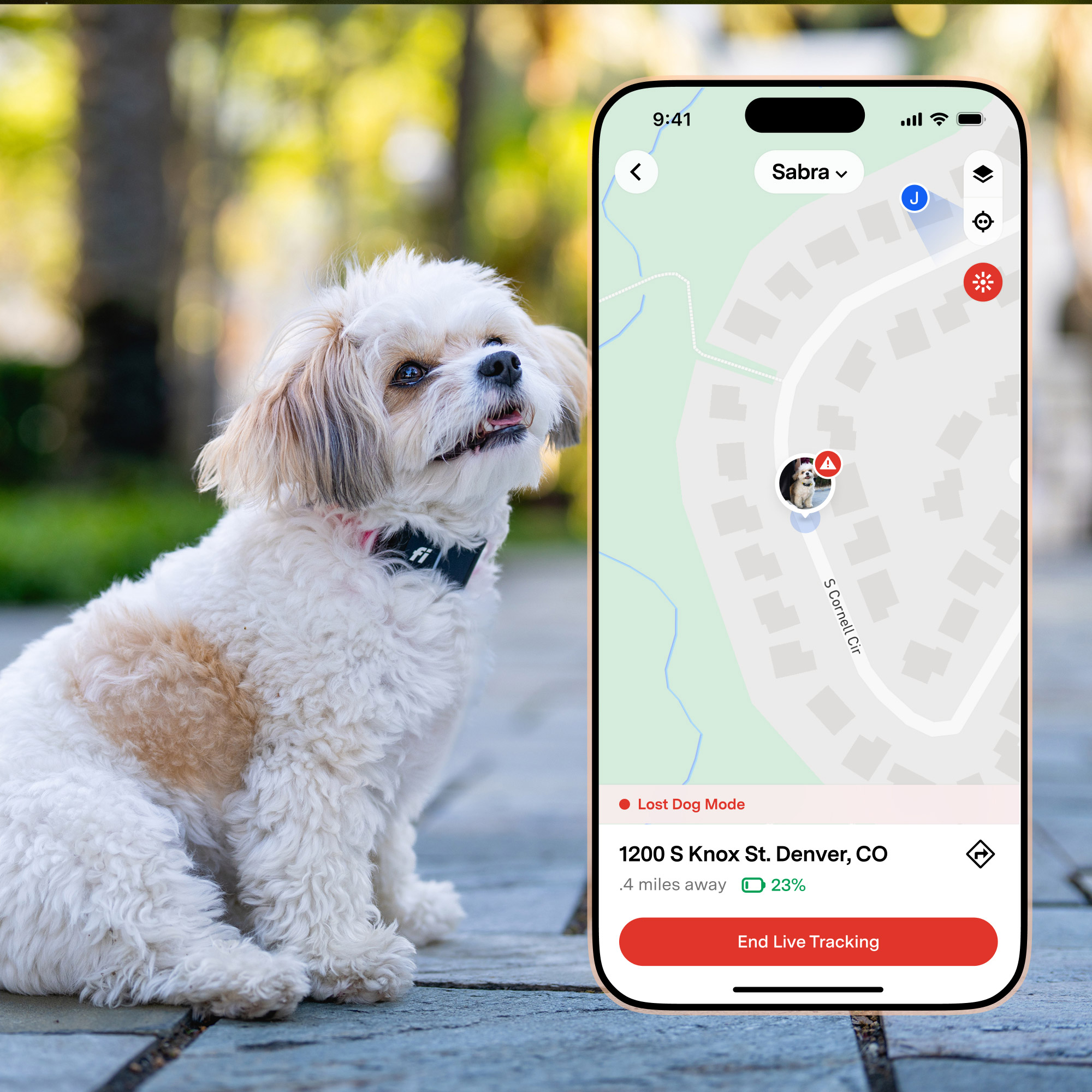 Enlarge Product Preview 2 Successfully Enriched by automation Job.