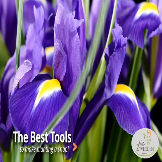 Play Product Video 1