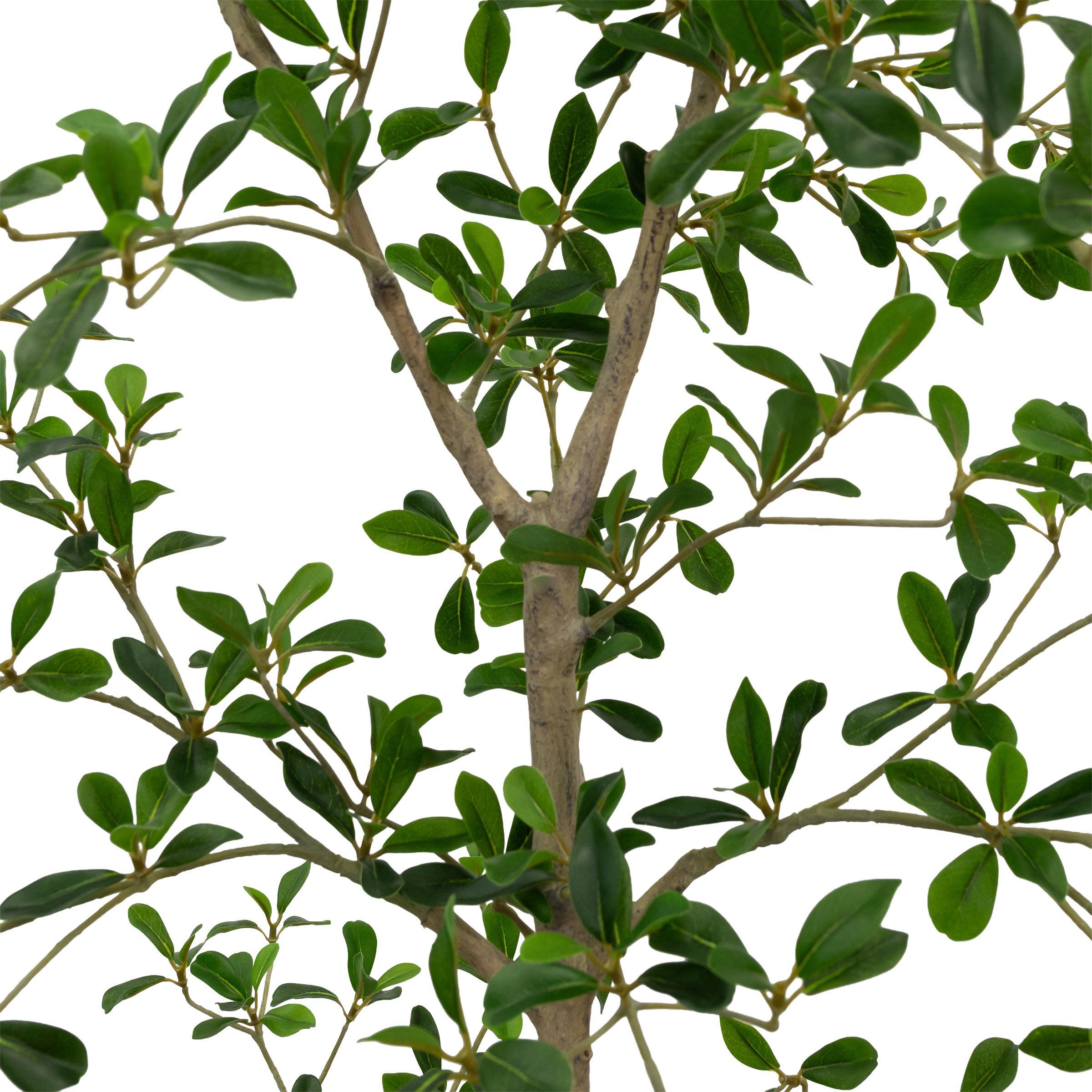 Faux 6.5' Black Olive Tree | Costco