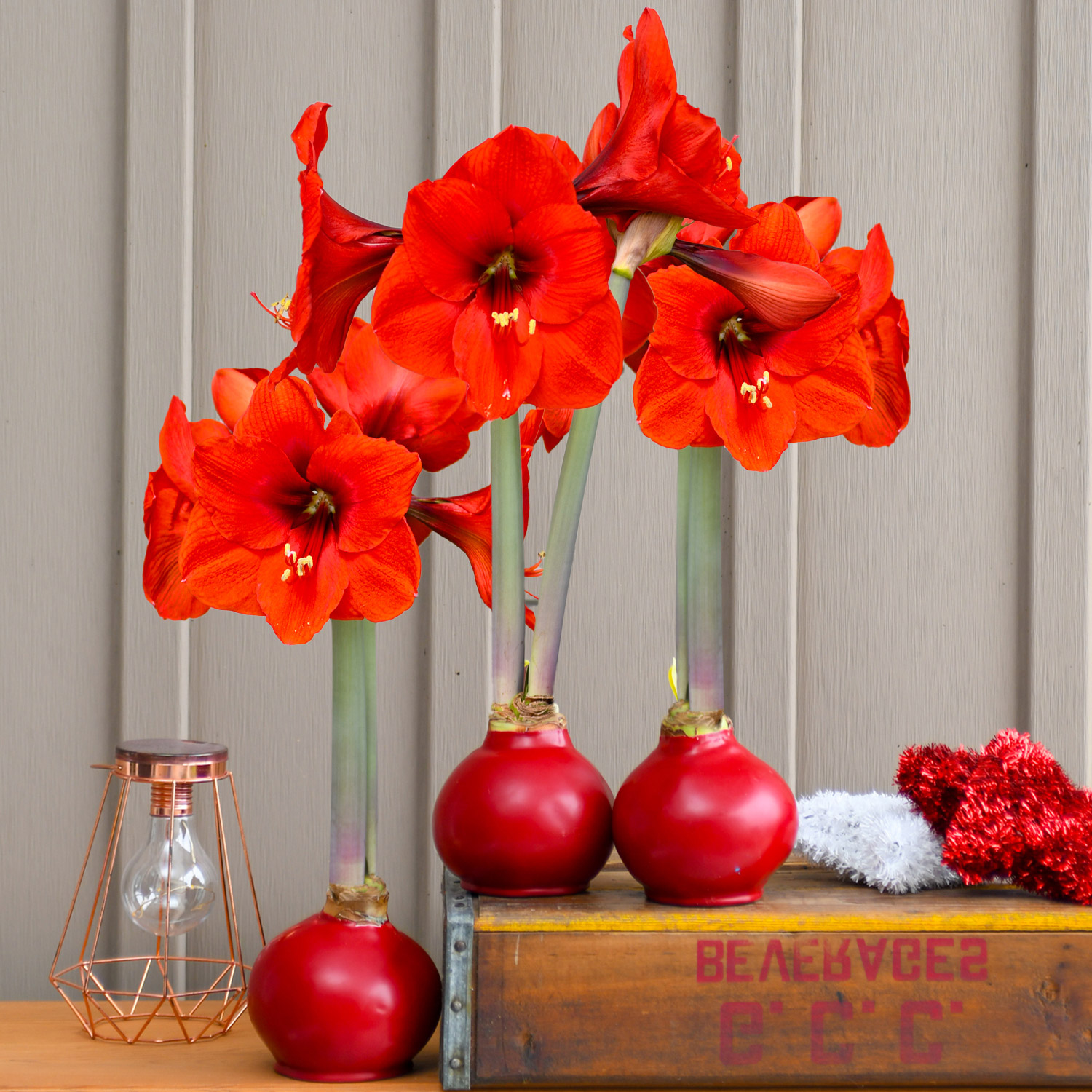 Enlarge Product Preview 4