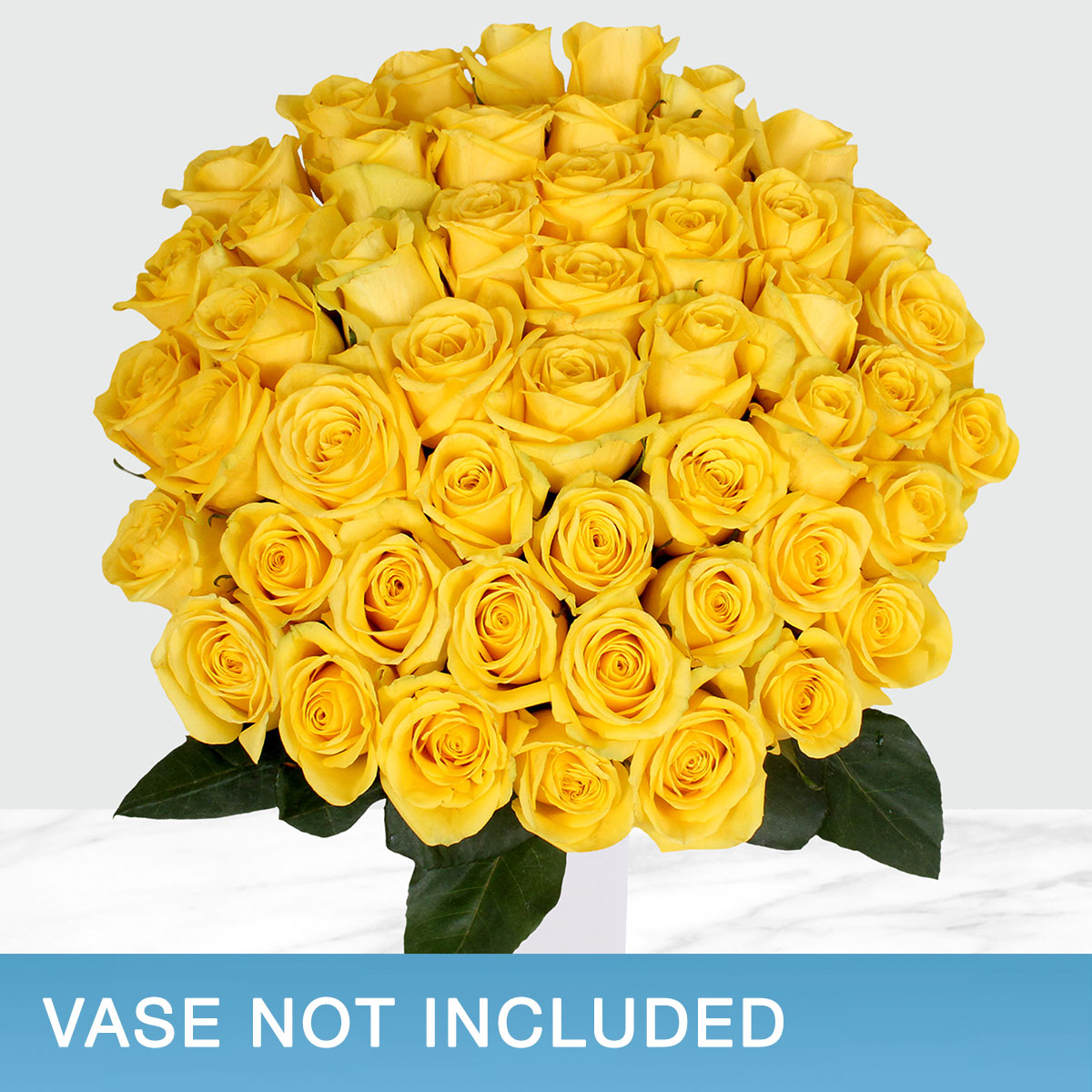 Enlarge Product Preview 2