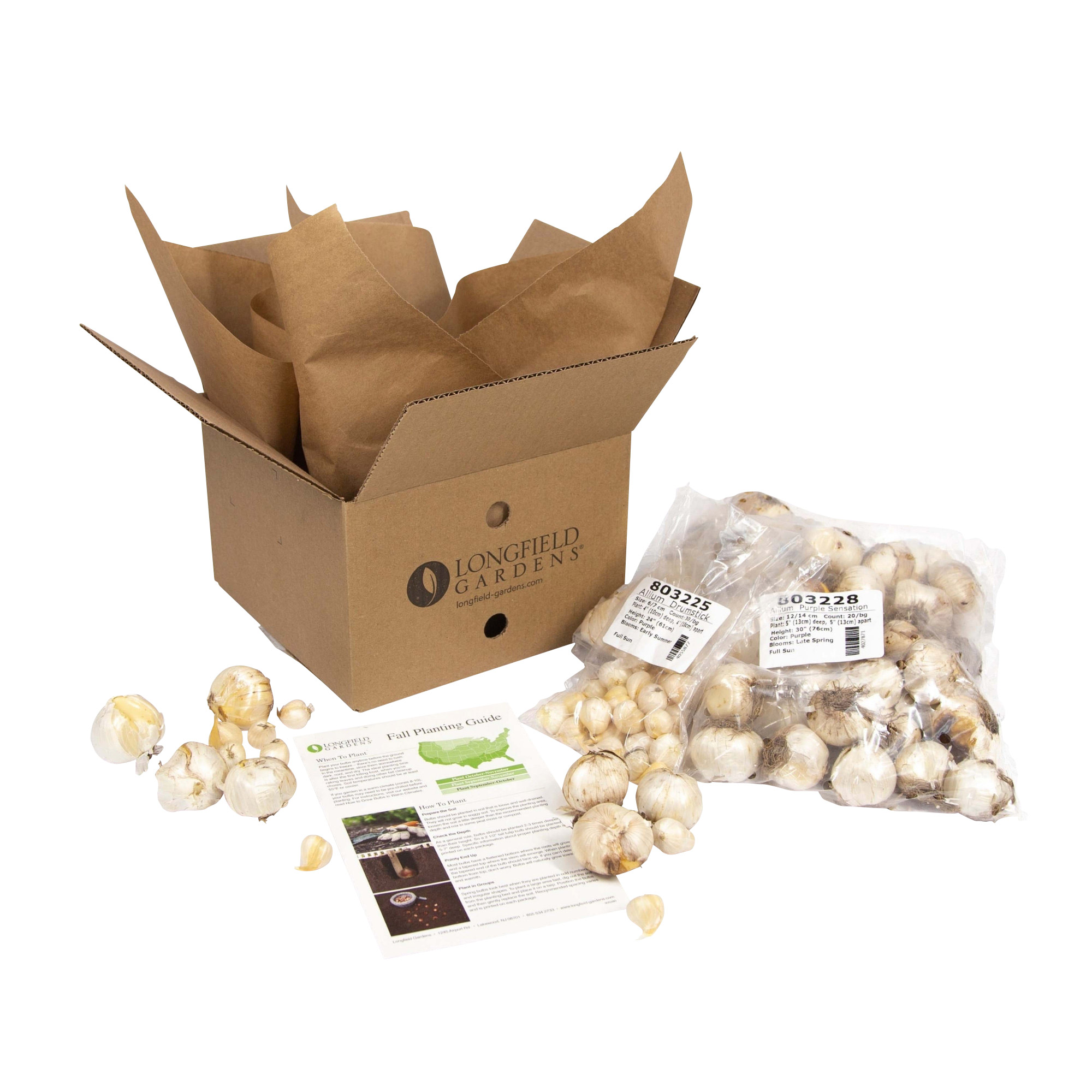 Enlarge Product Preview 6