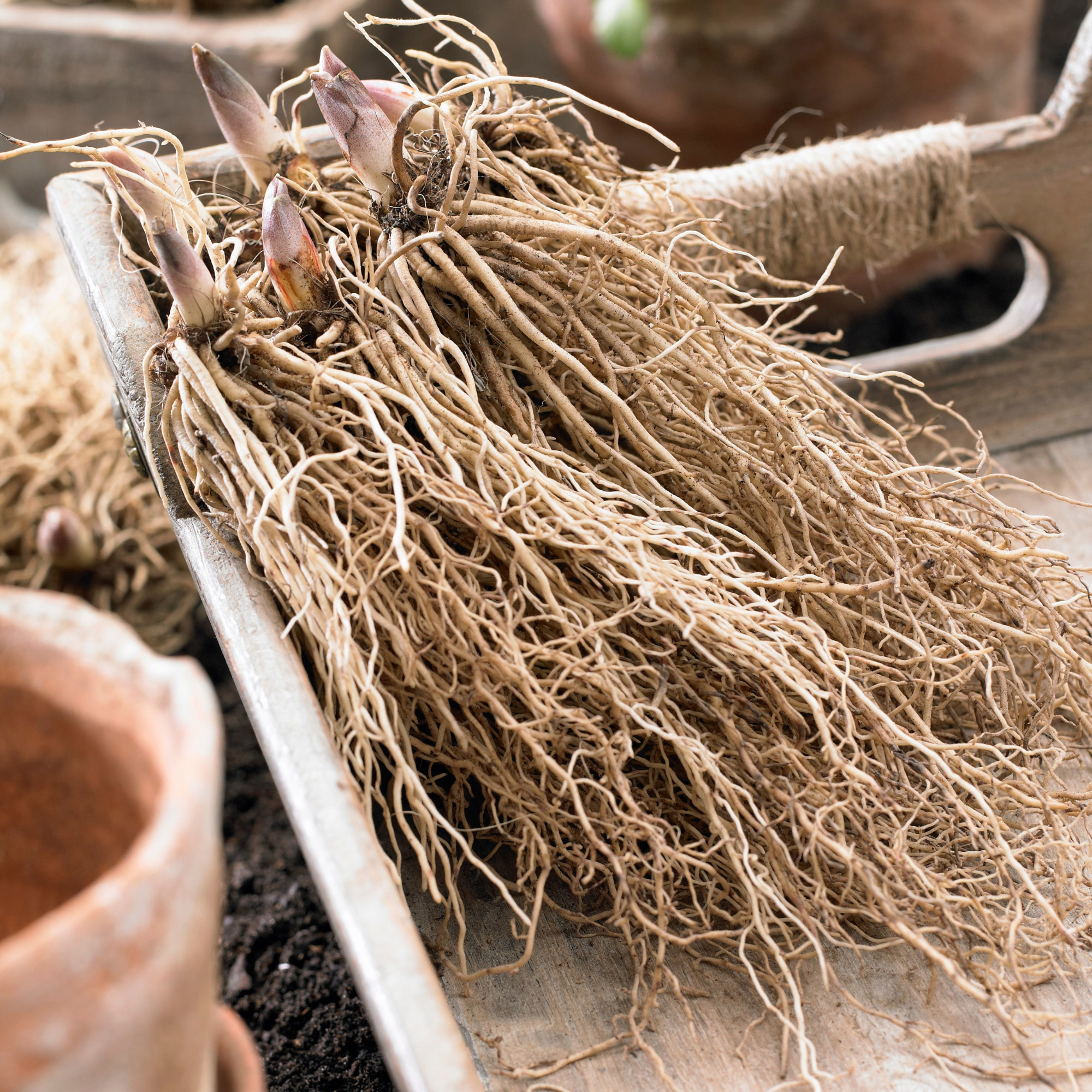 Enlarge Product Preview 3 Successfully Enriched by automation Job.