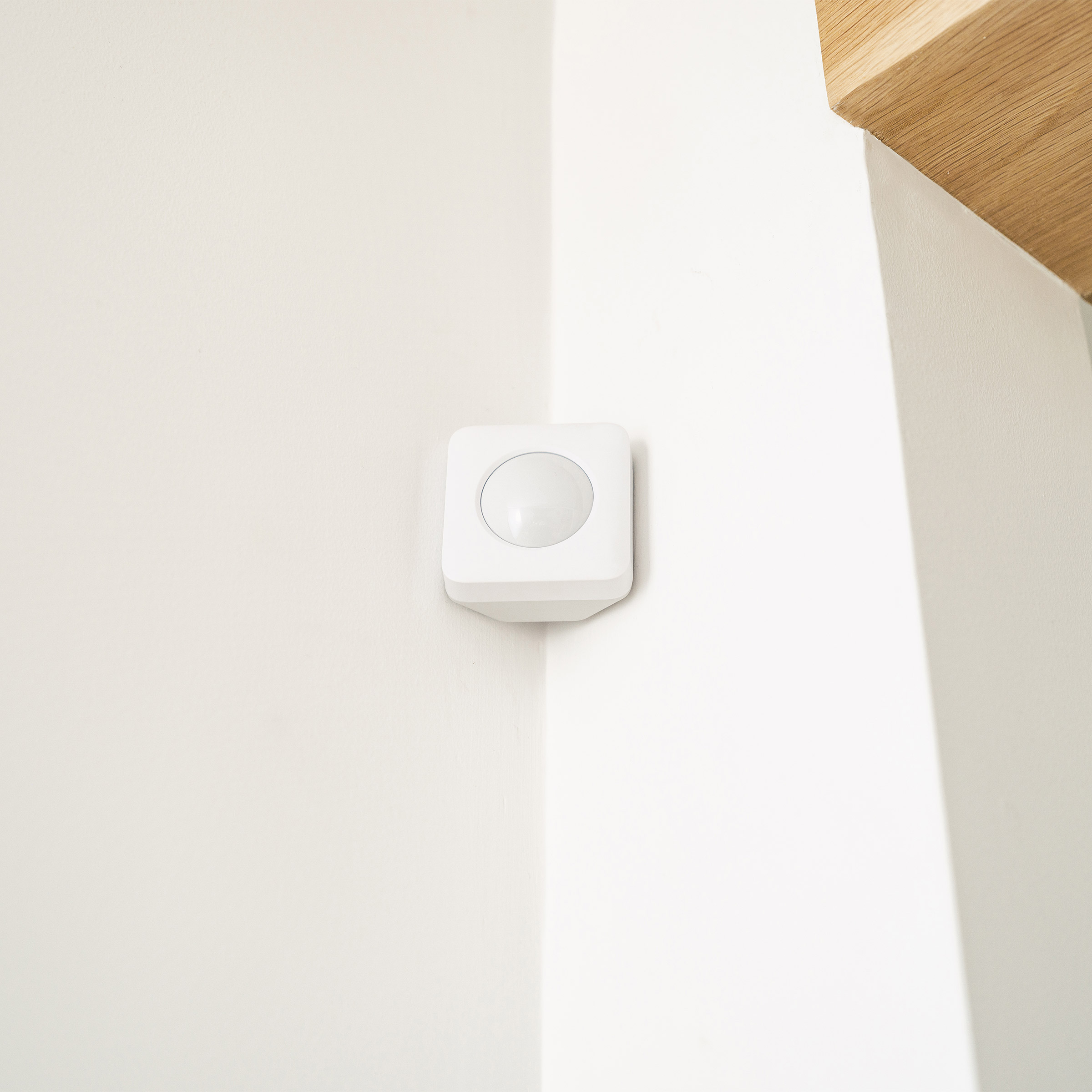 Enlarge Product Preview 6 Successfully Enriched by automation Job.