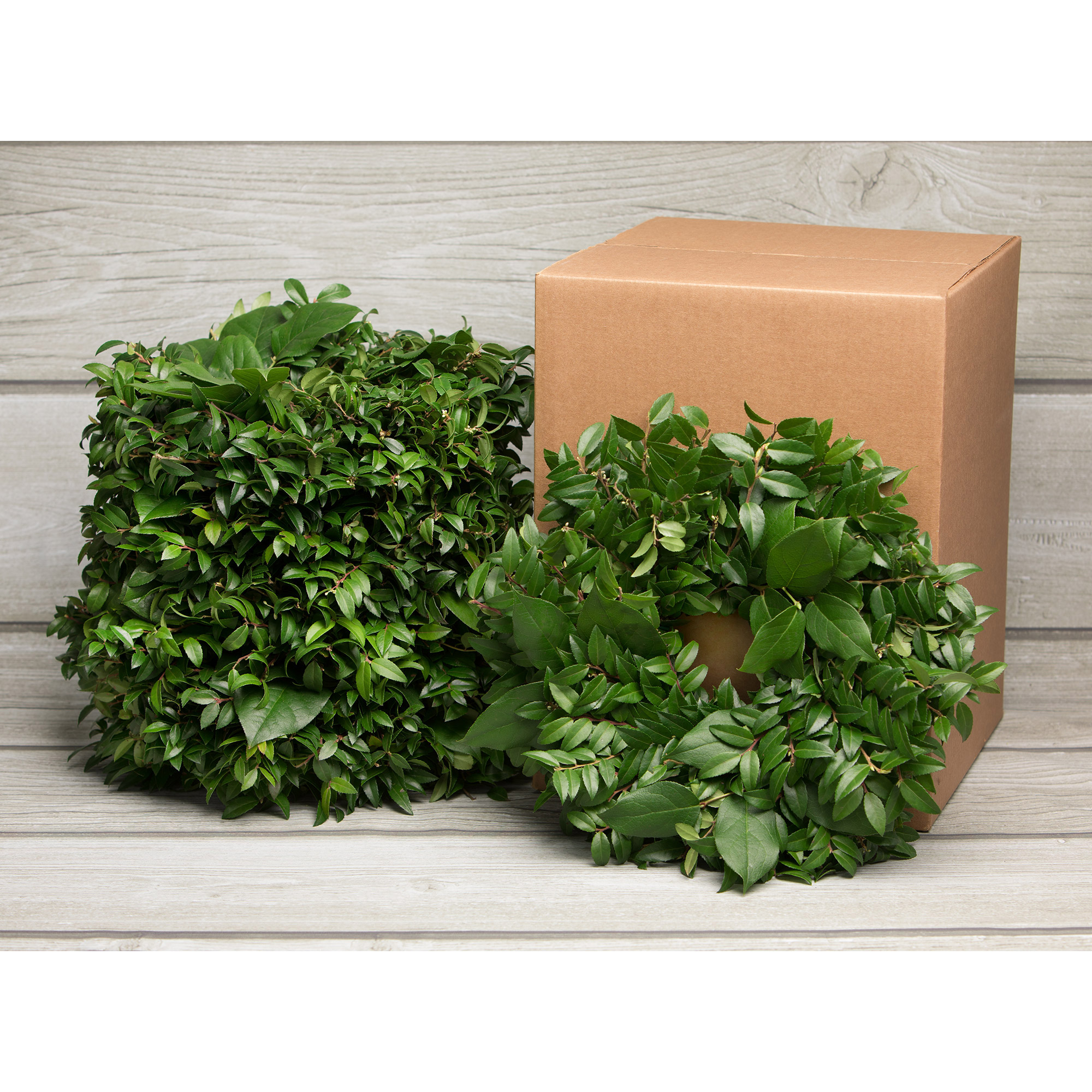 Enlarge Product Preview 7