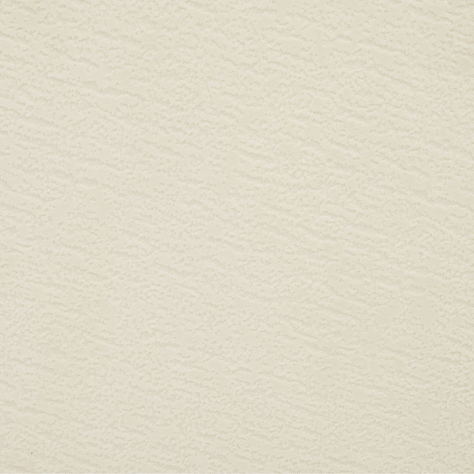 Enlarge Product Preview 8 Successfully Enriched by automation Job.