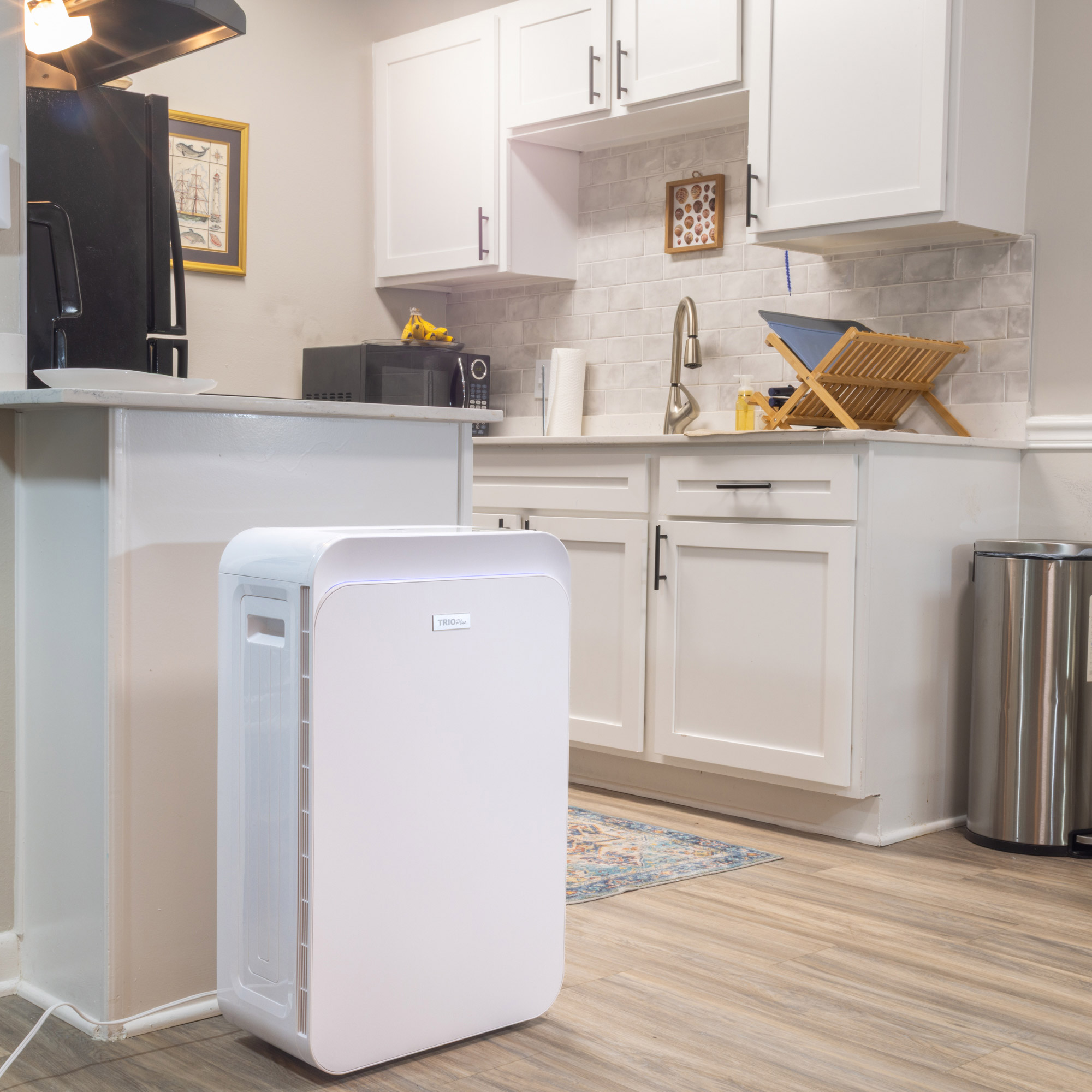 Enlarge Product Preview 6 Successfully Enriched by automation Job.