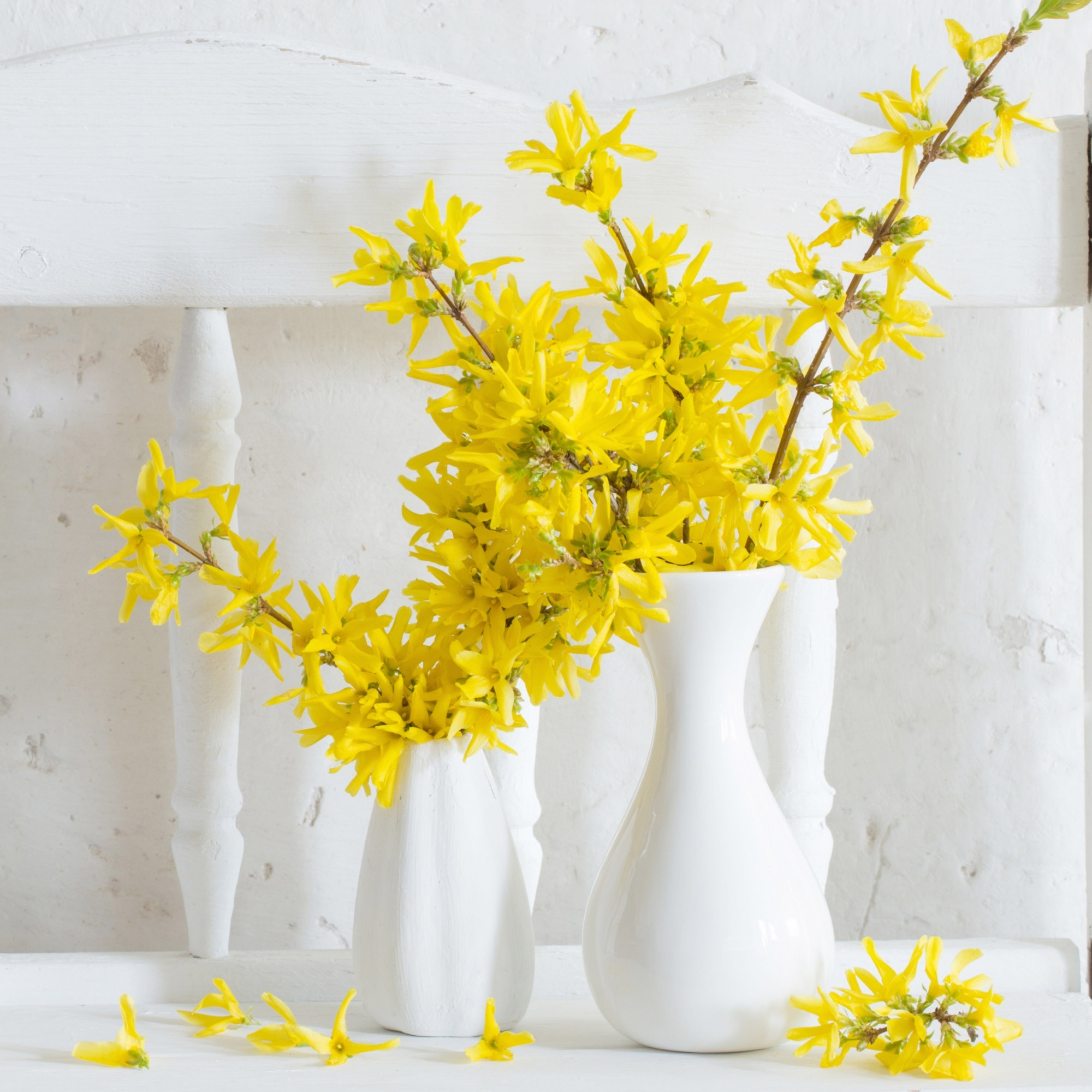 Enlarge Product Preview 3