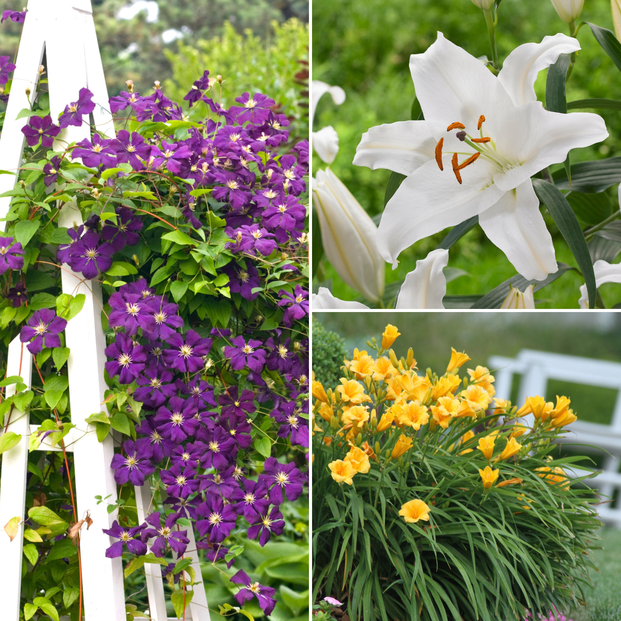 Enlarge Product Preview 25