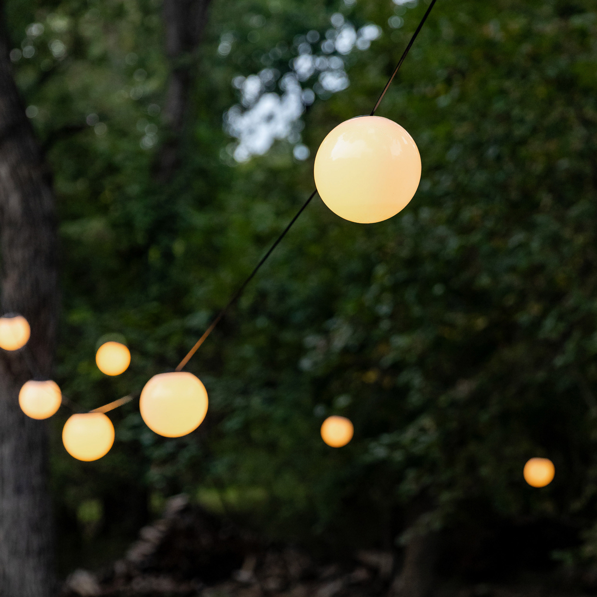 Enbrighten String Lights