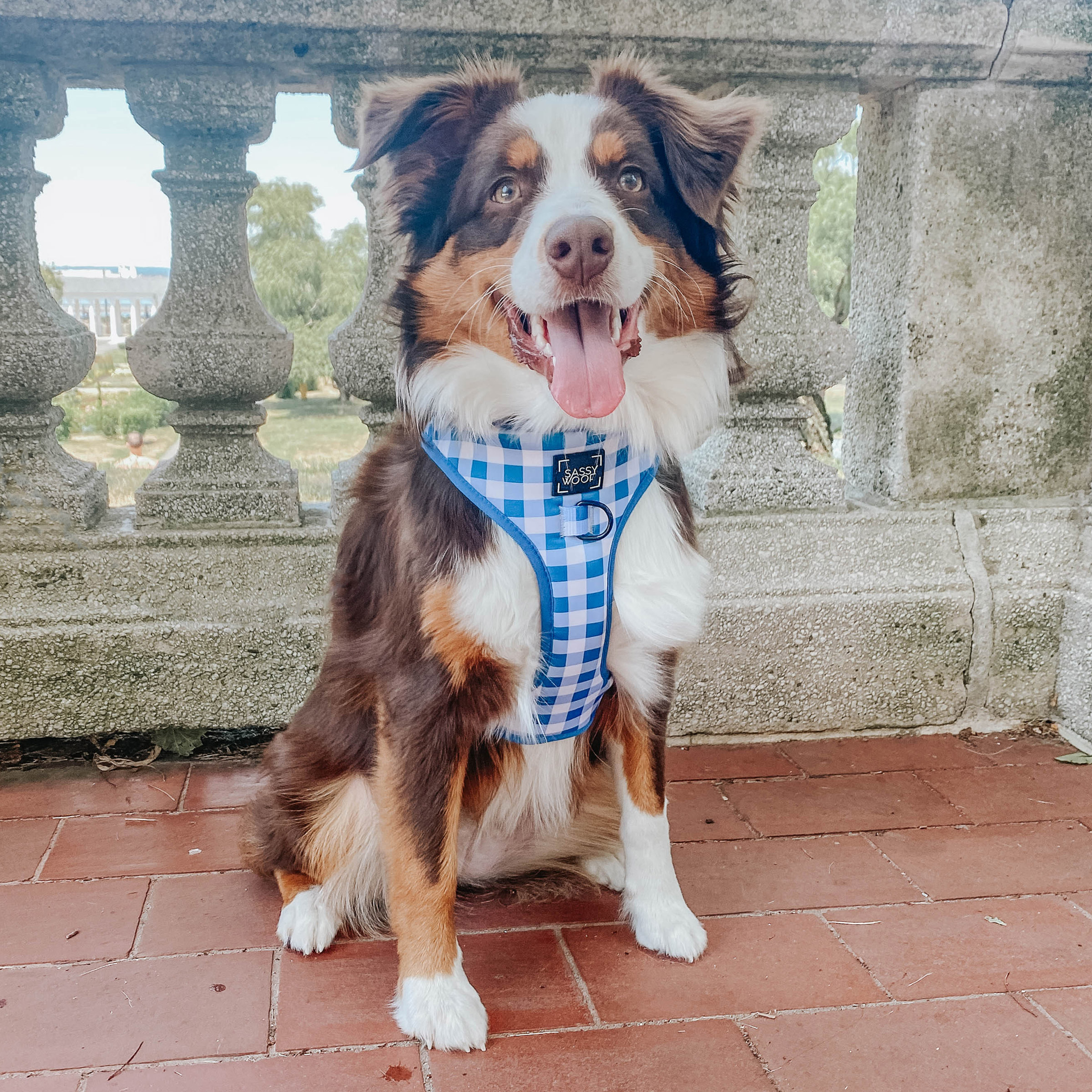 Enlarge Product Preview 4