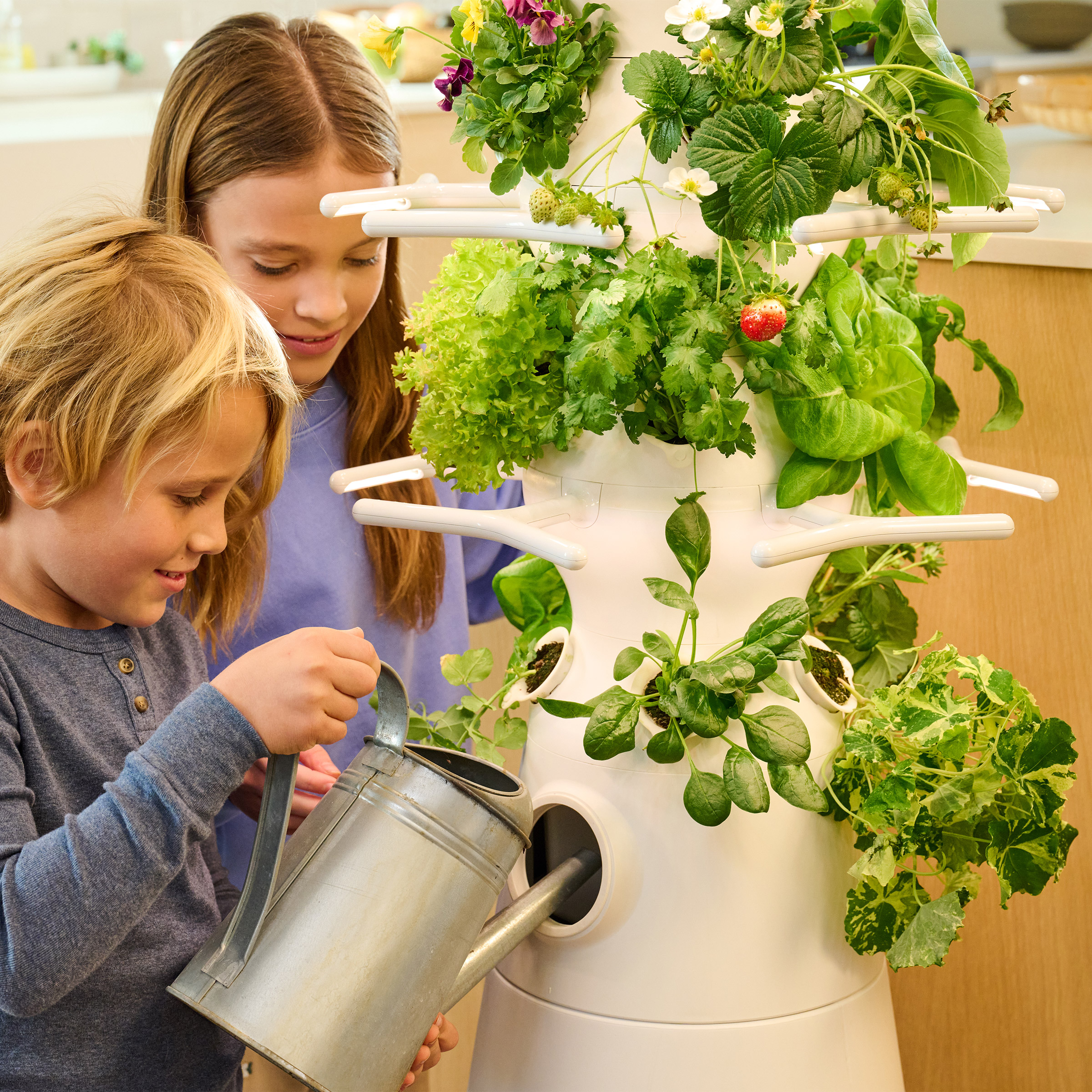 Enlarge Product Preview 5 Successfully Enriched by automation Job.