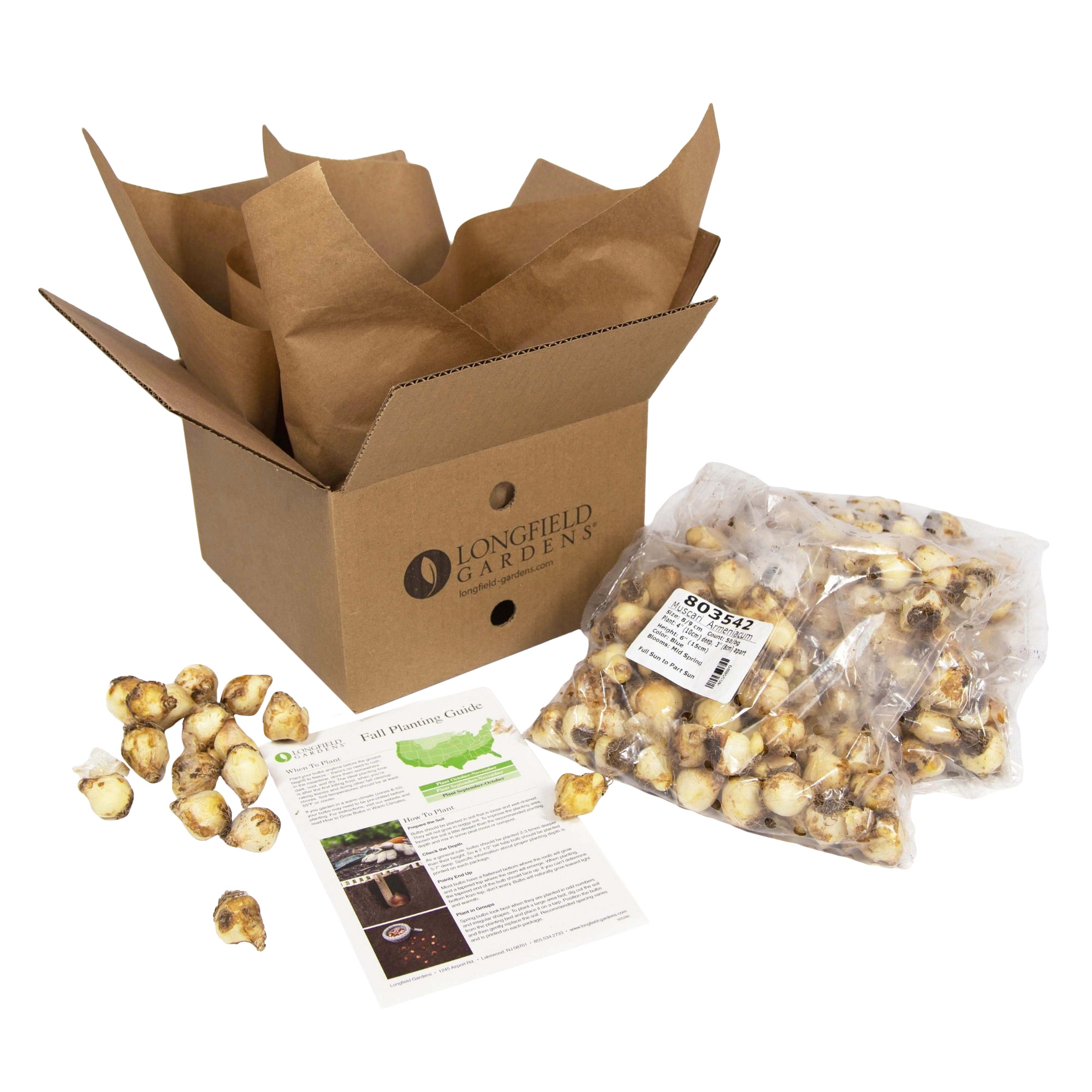 Enlarge Product Preview 10 Automation Job: Item or Product number could not be derived from the asset name.