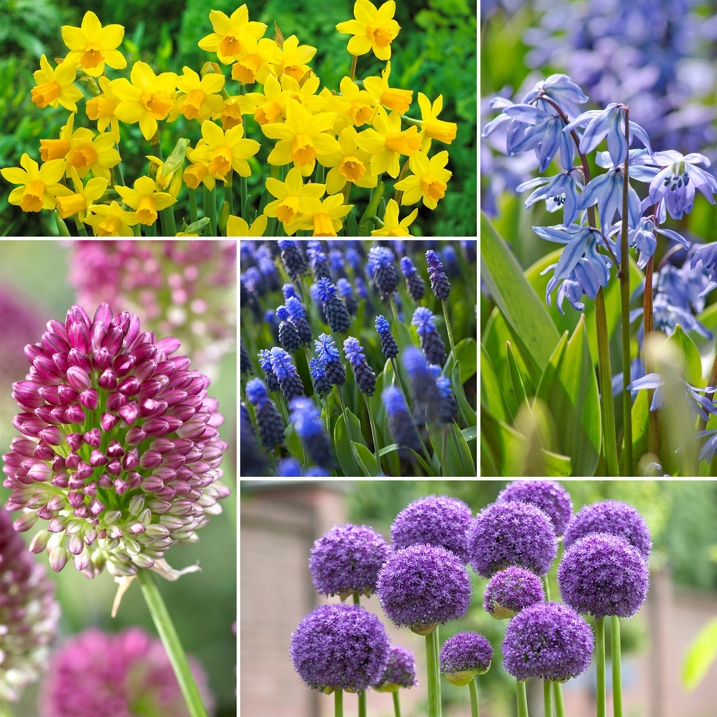 peony様917専用 PEONY STEM REAL TOUCH 22