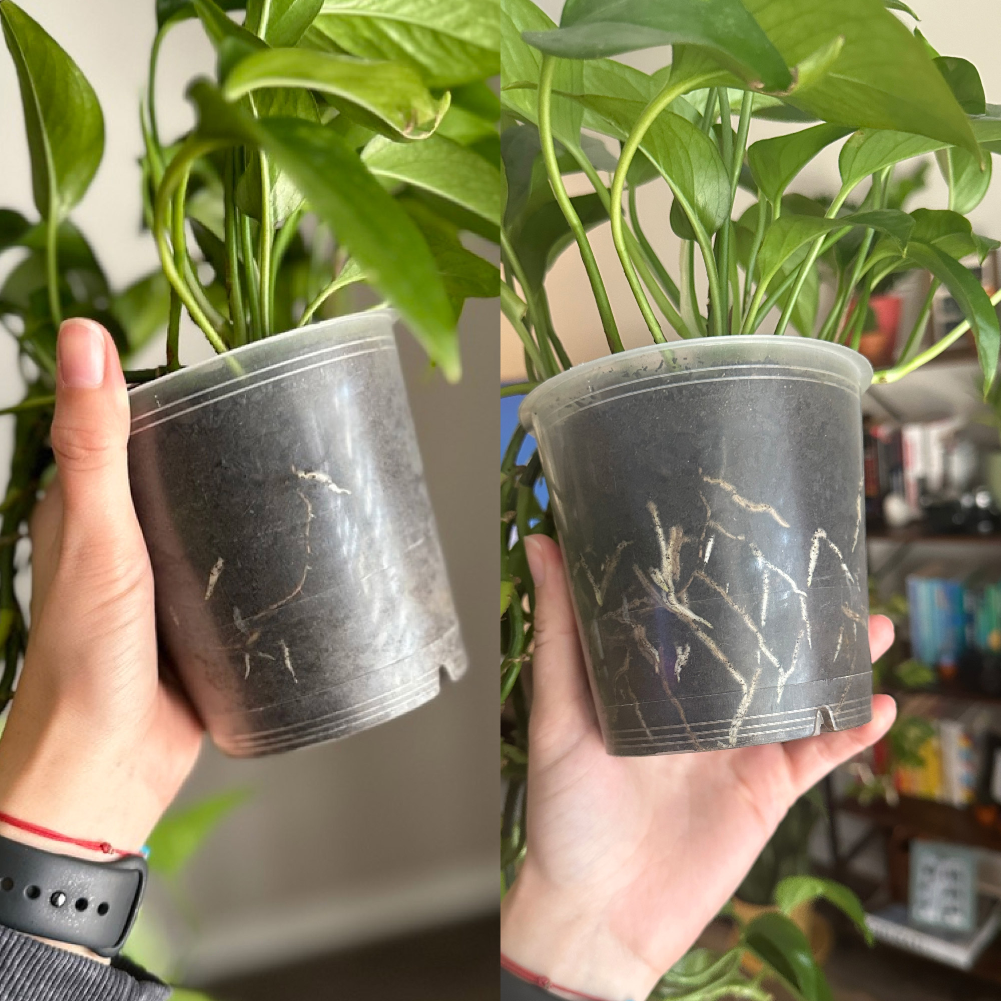 Enlarge Product Preview 5 Successfully Enriched by automation Job.